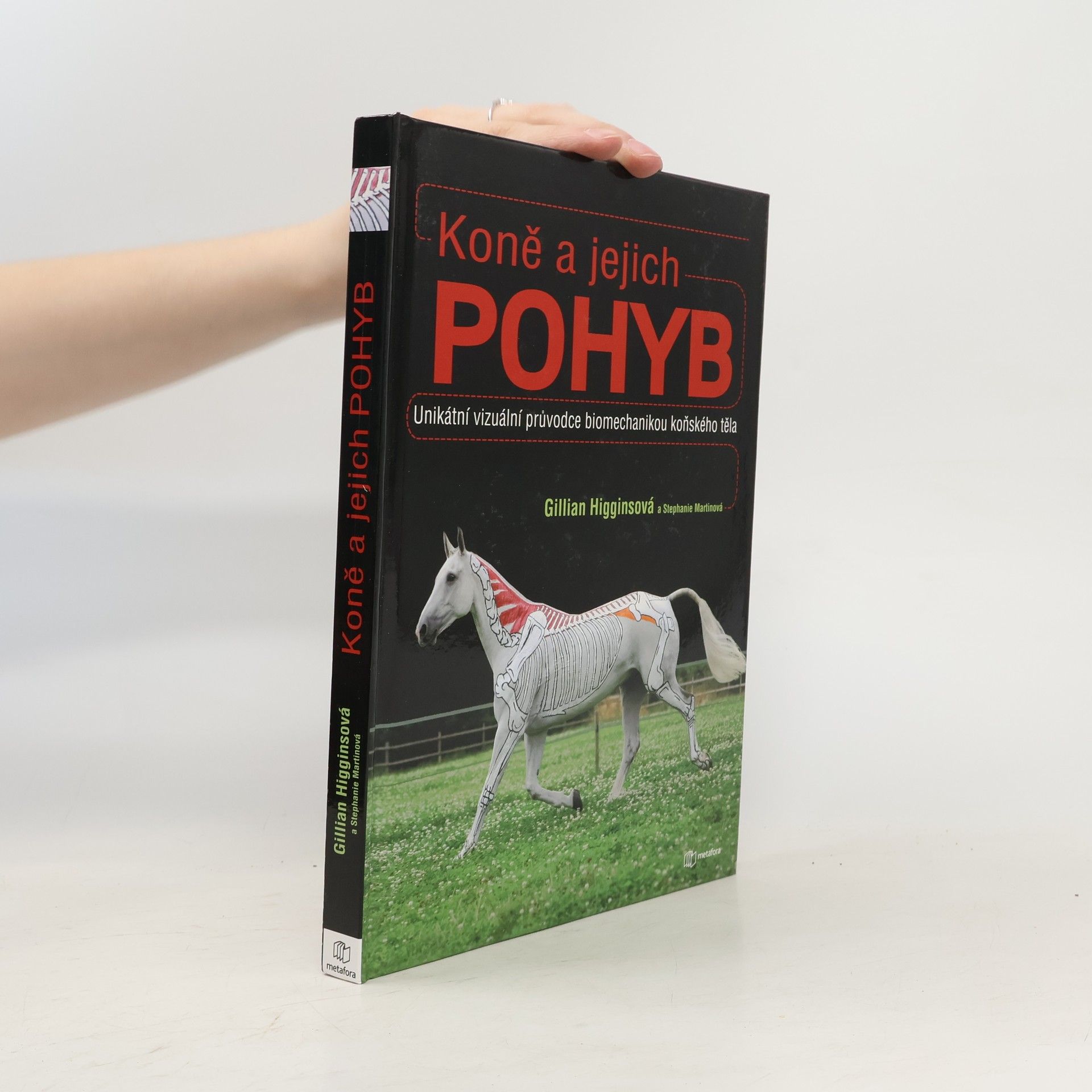 Stephanie Martin Koně a jejich pohyb