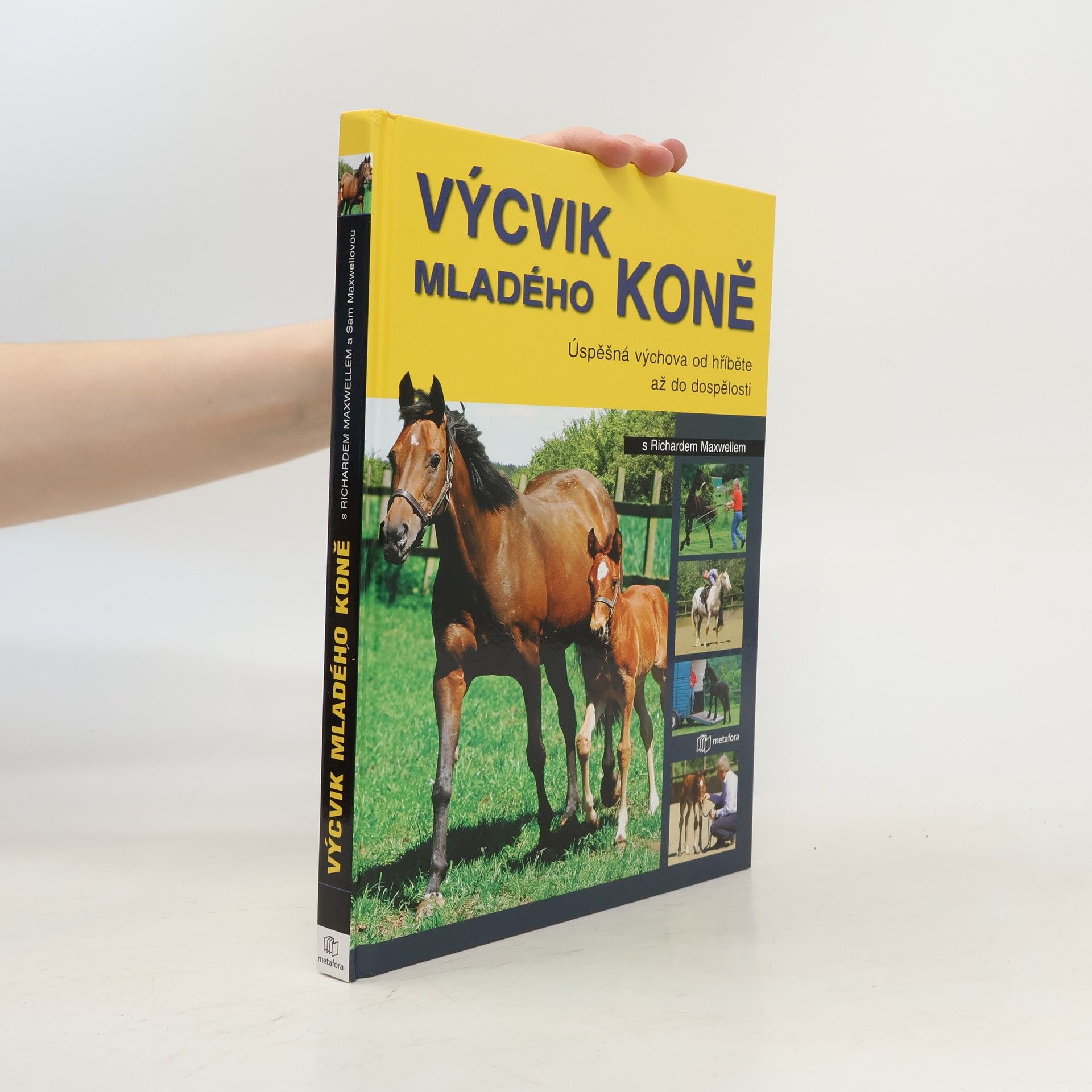 Richard Maxwell Výcvik mladého koně s Richardem Maxwellem