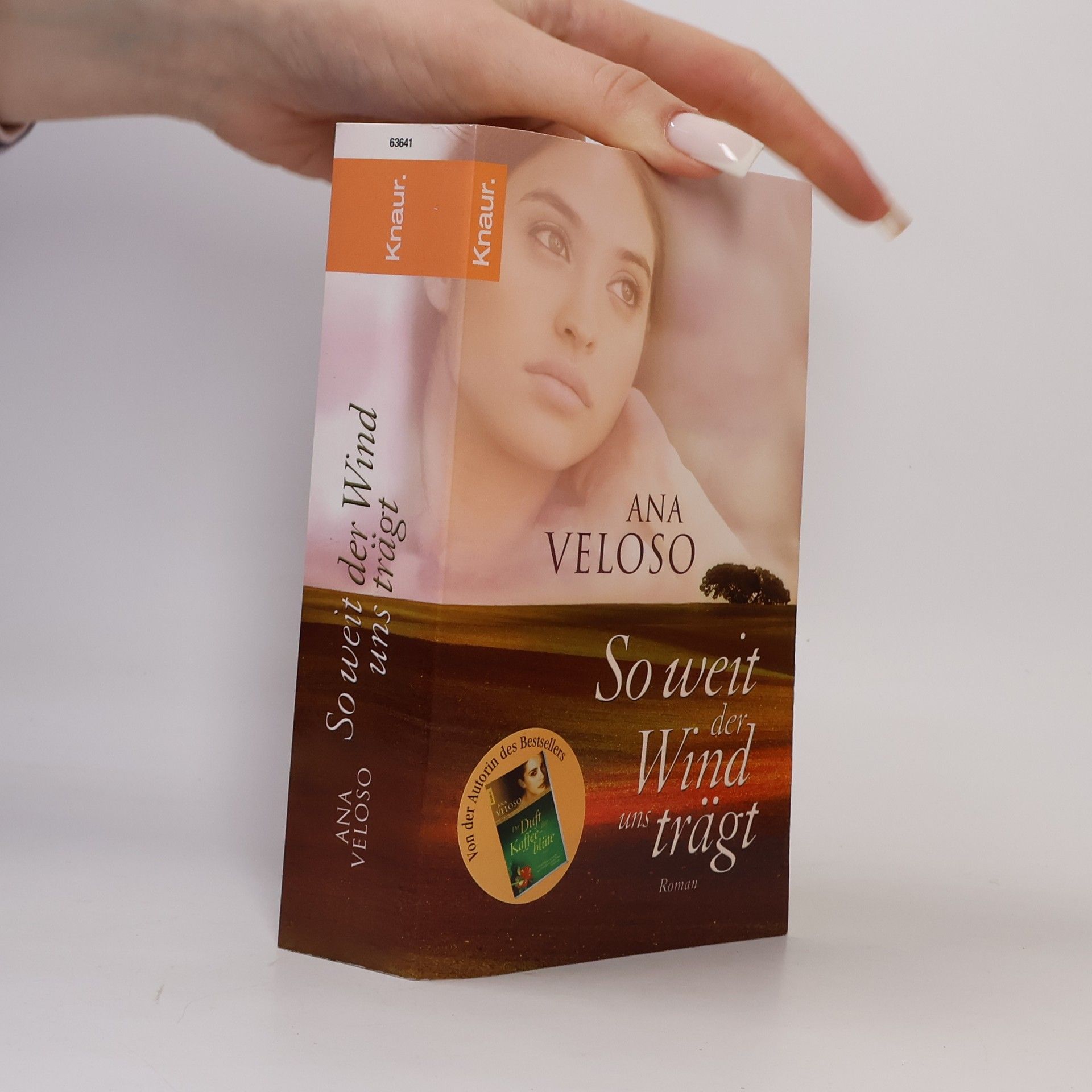 Ana Veloso So weit der Wind uns trägt