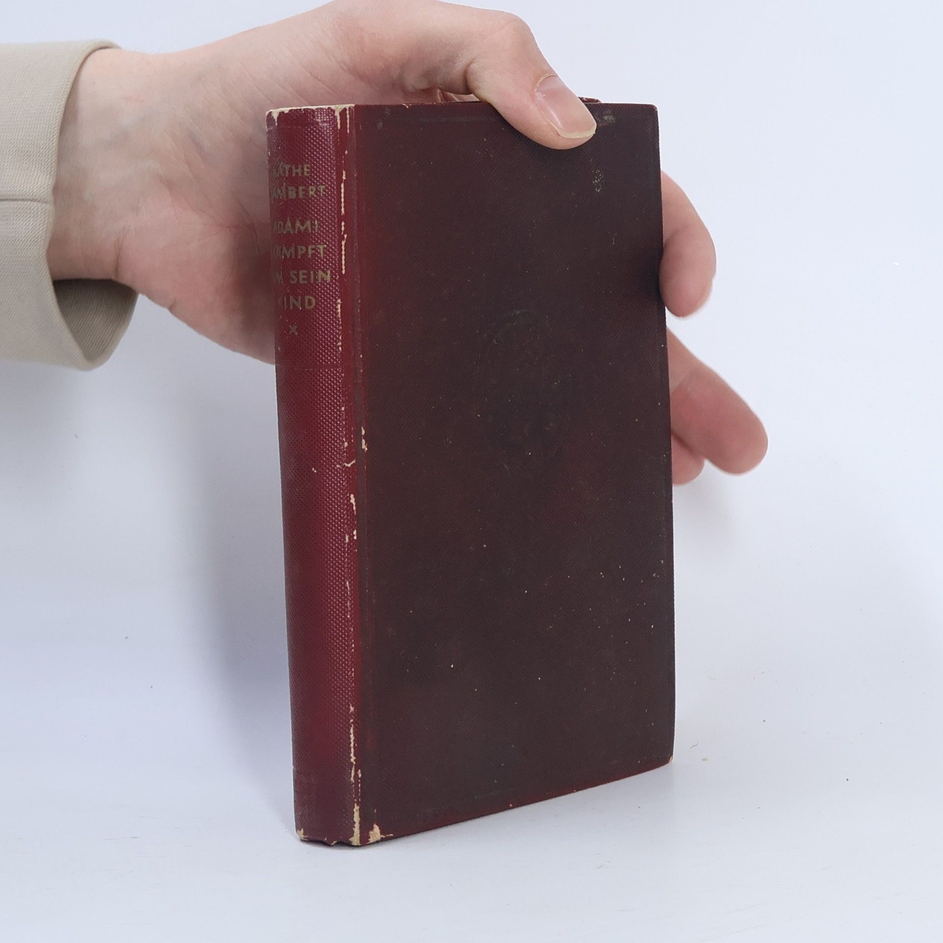 Adami kämpft um sein Kind