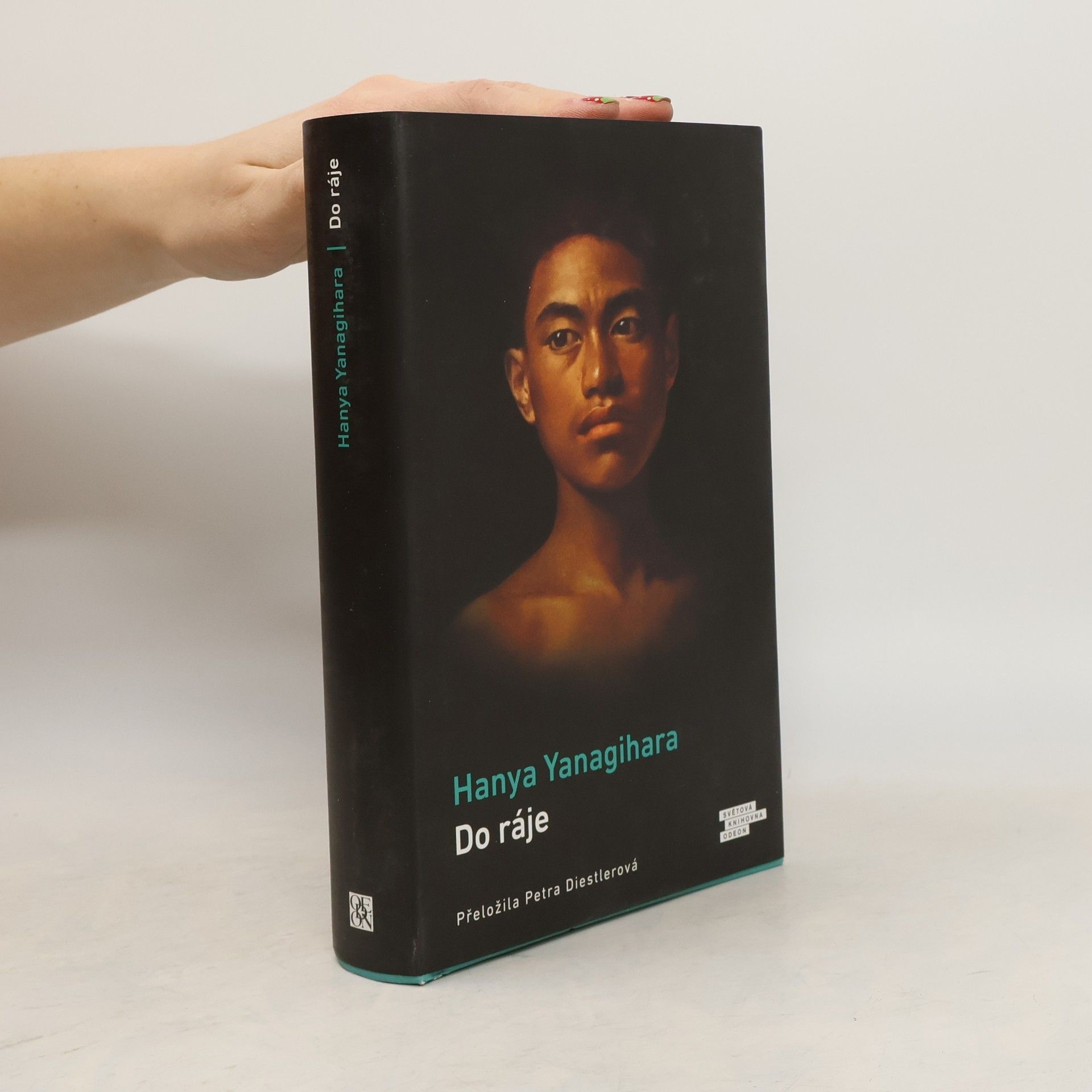 Hanya Yanagihara Do ráje