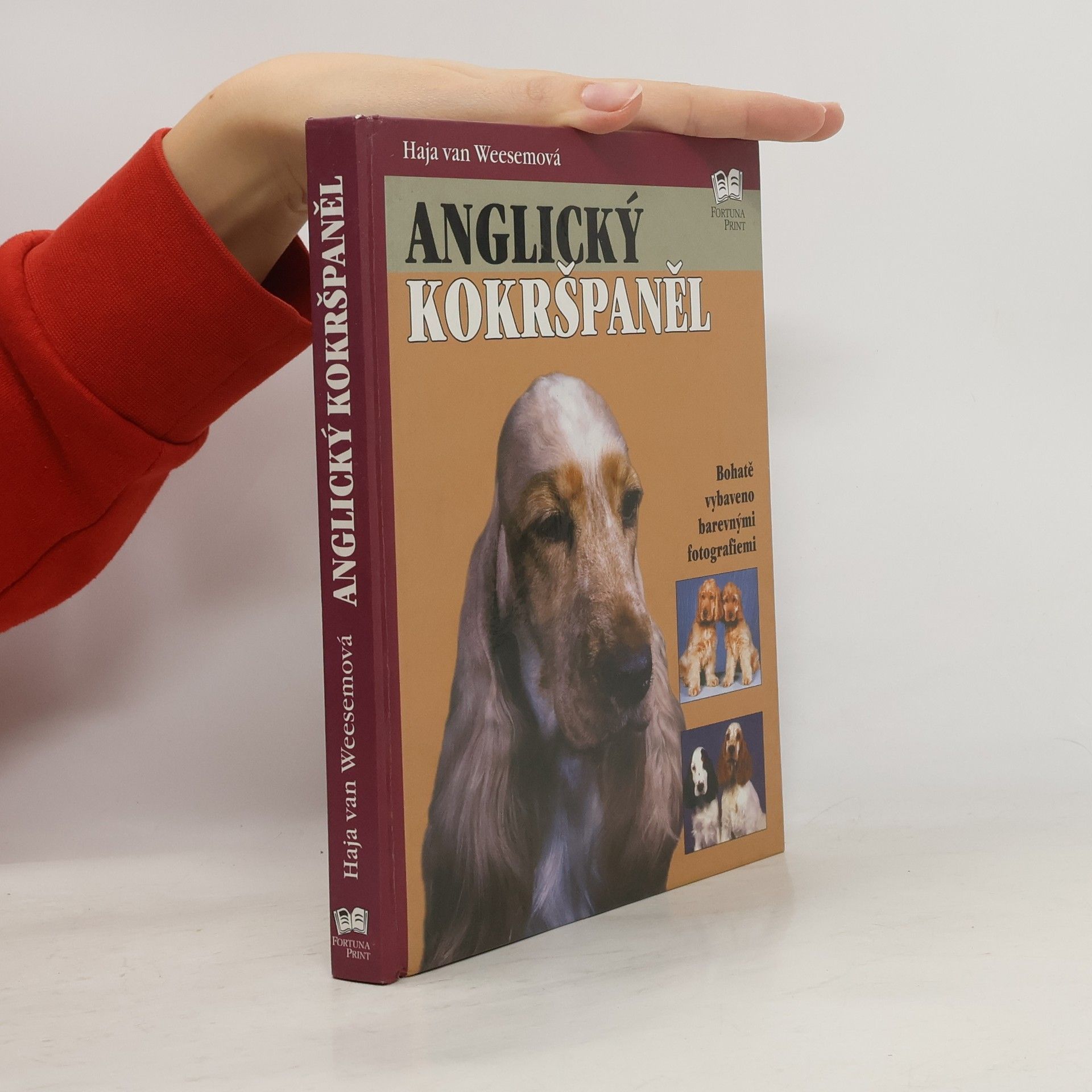 Haja van Wessem Anglický kokršpaněl