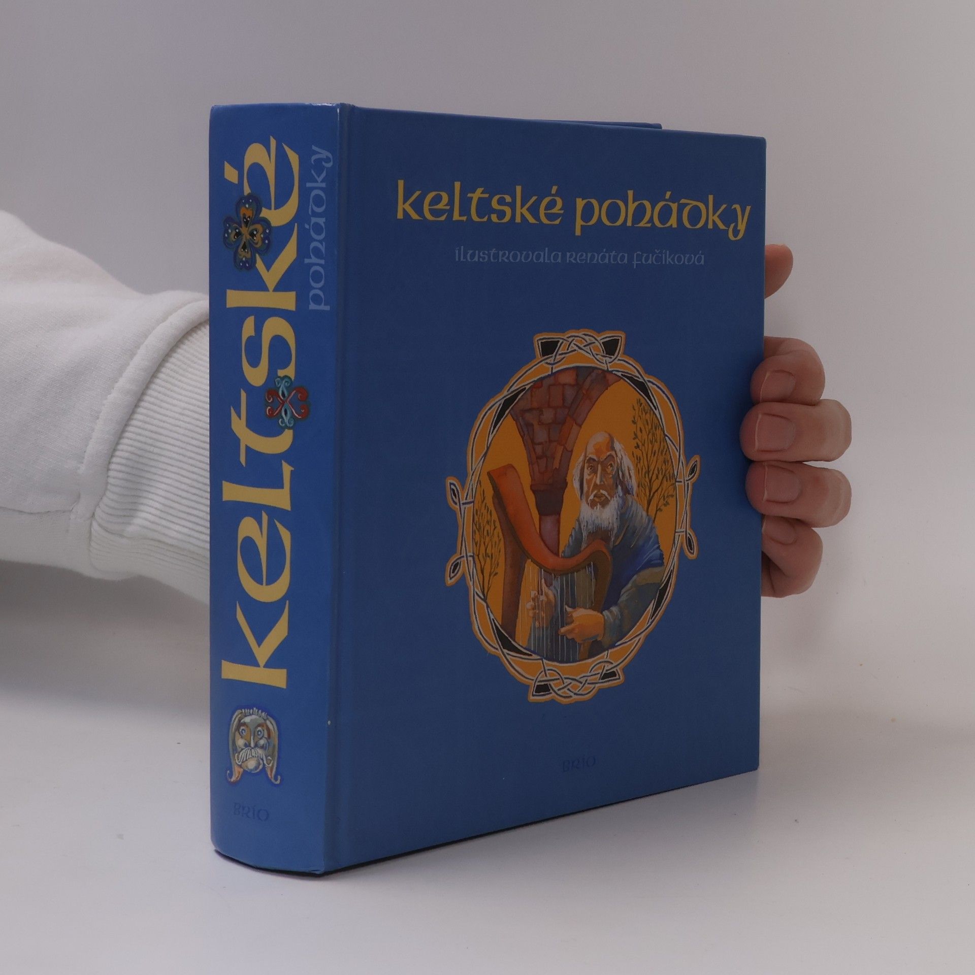 Renáta Fučíková Keltské pohádky : [z francouzských literárních zdrojů]