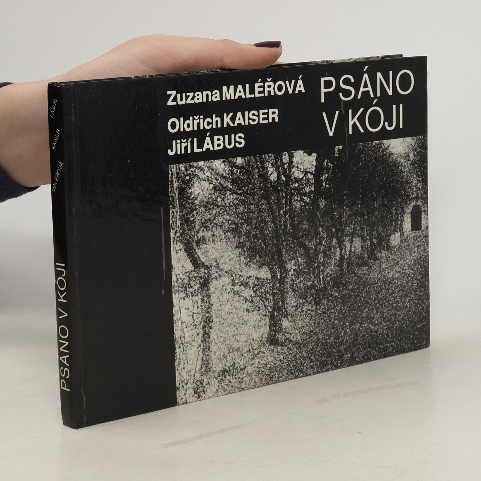 Zuzana Maléřová Psáno v kóji