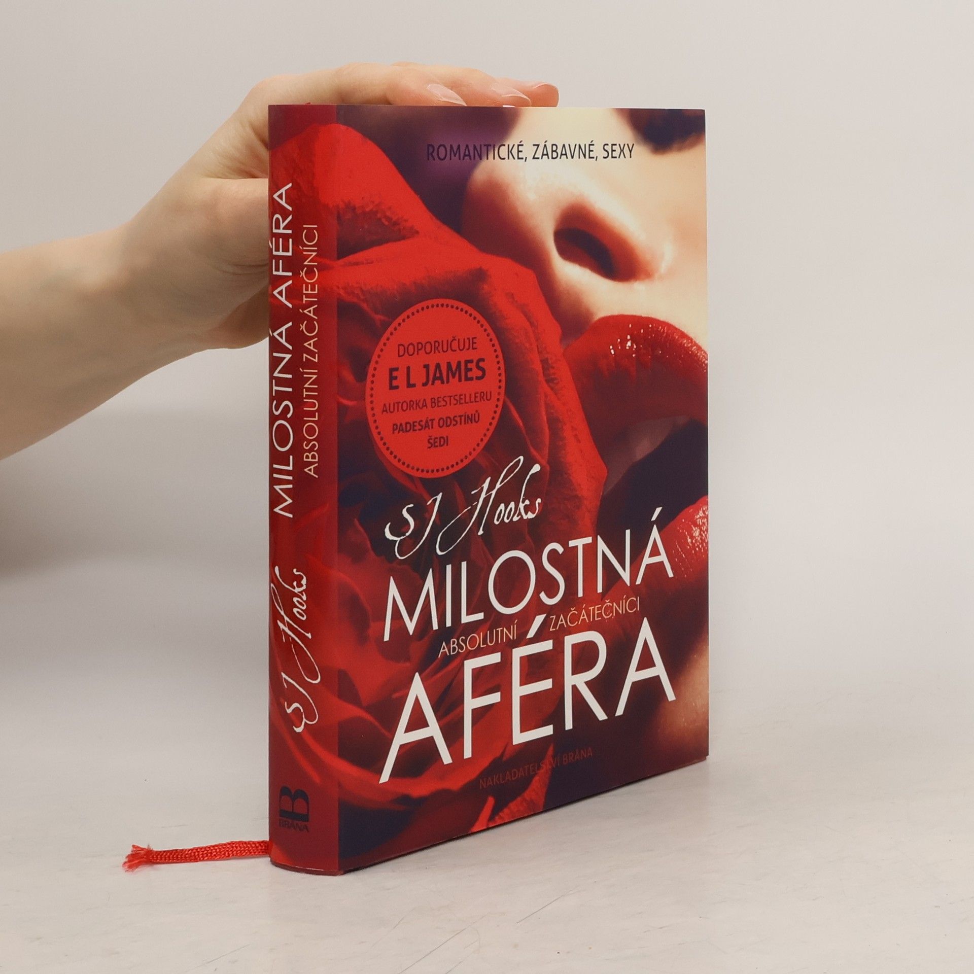 S. J. Hooks Milostná aféra