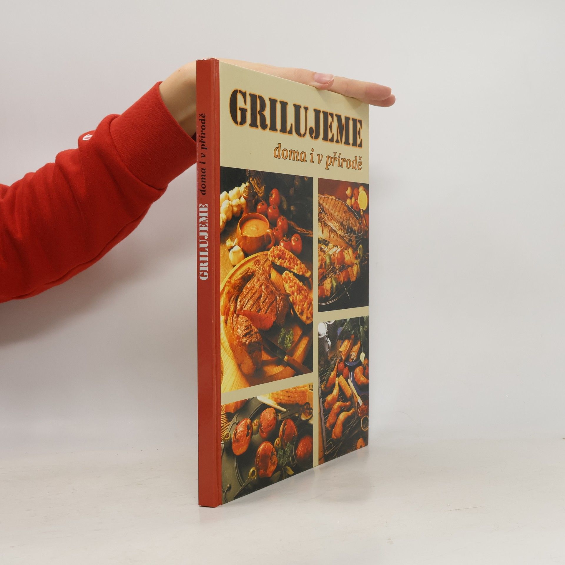 Autorenkollektiv Grilujeme doma i v přírodě