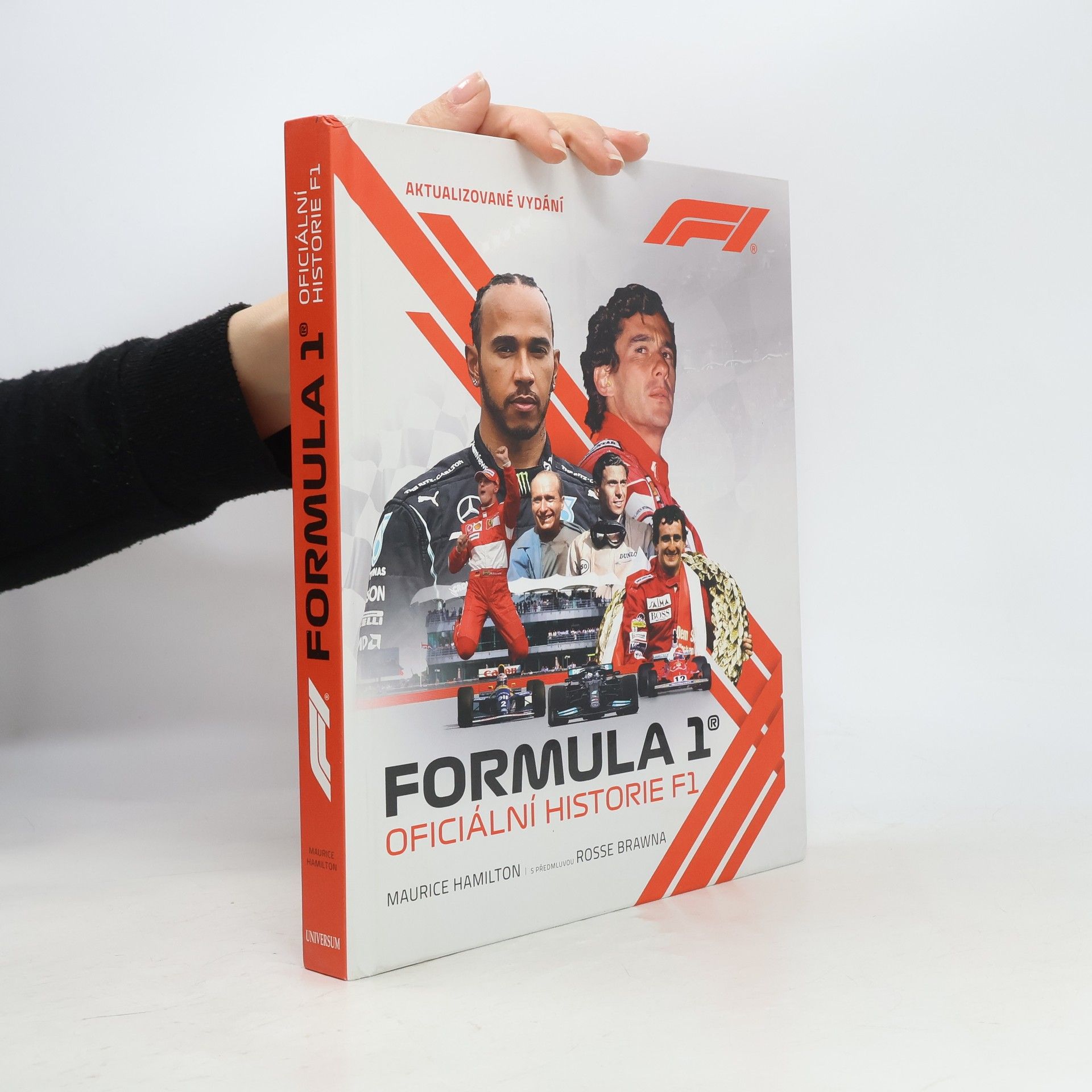 Dalibor Míček Formula 1 : oficiální historie F1