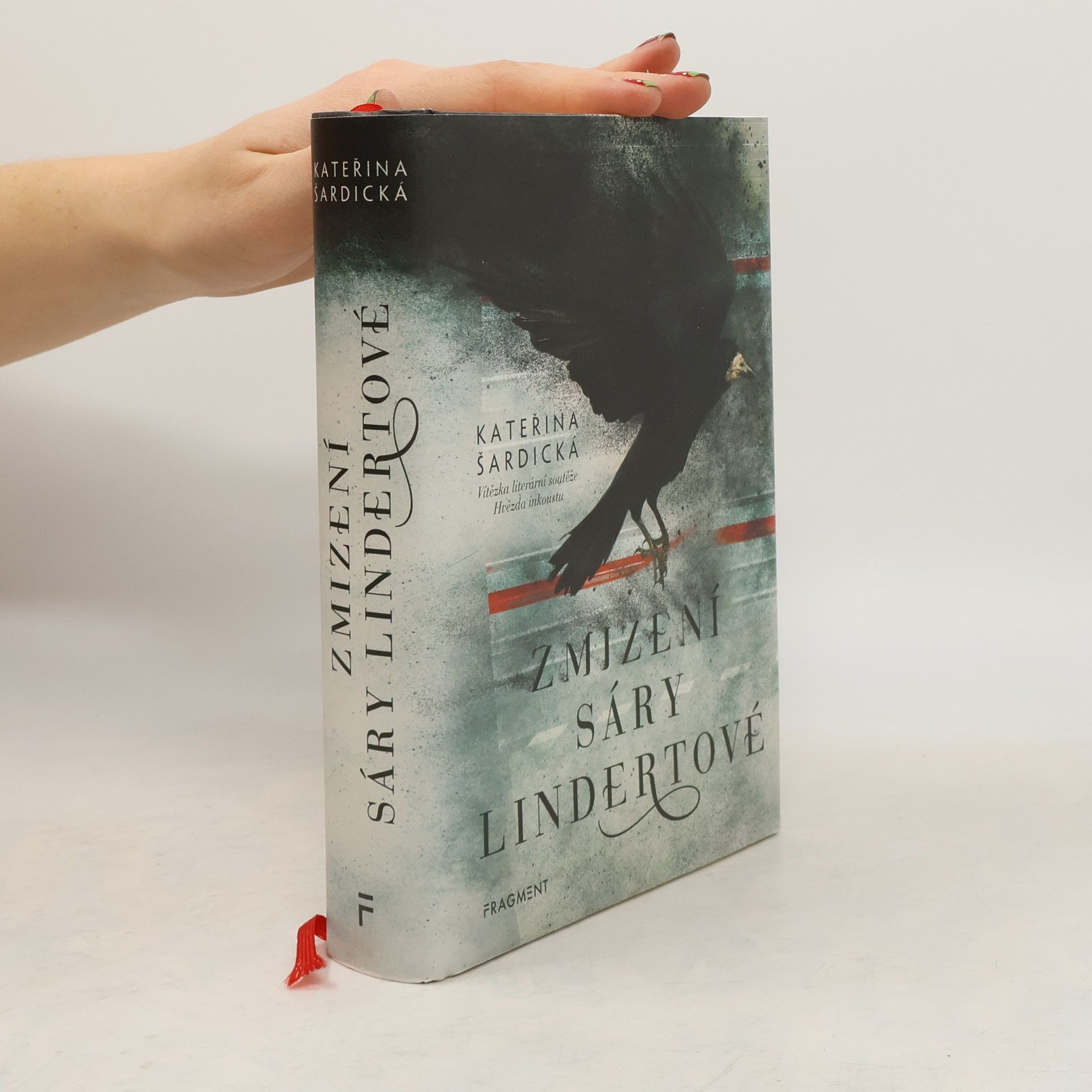 Kateřina Šardická Zmizení Sáry Lindertové