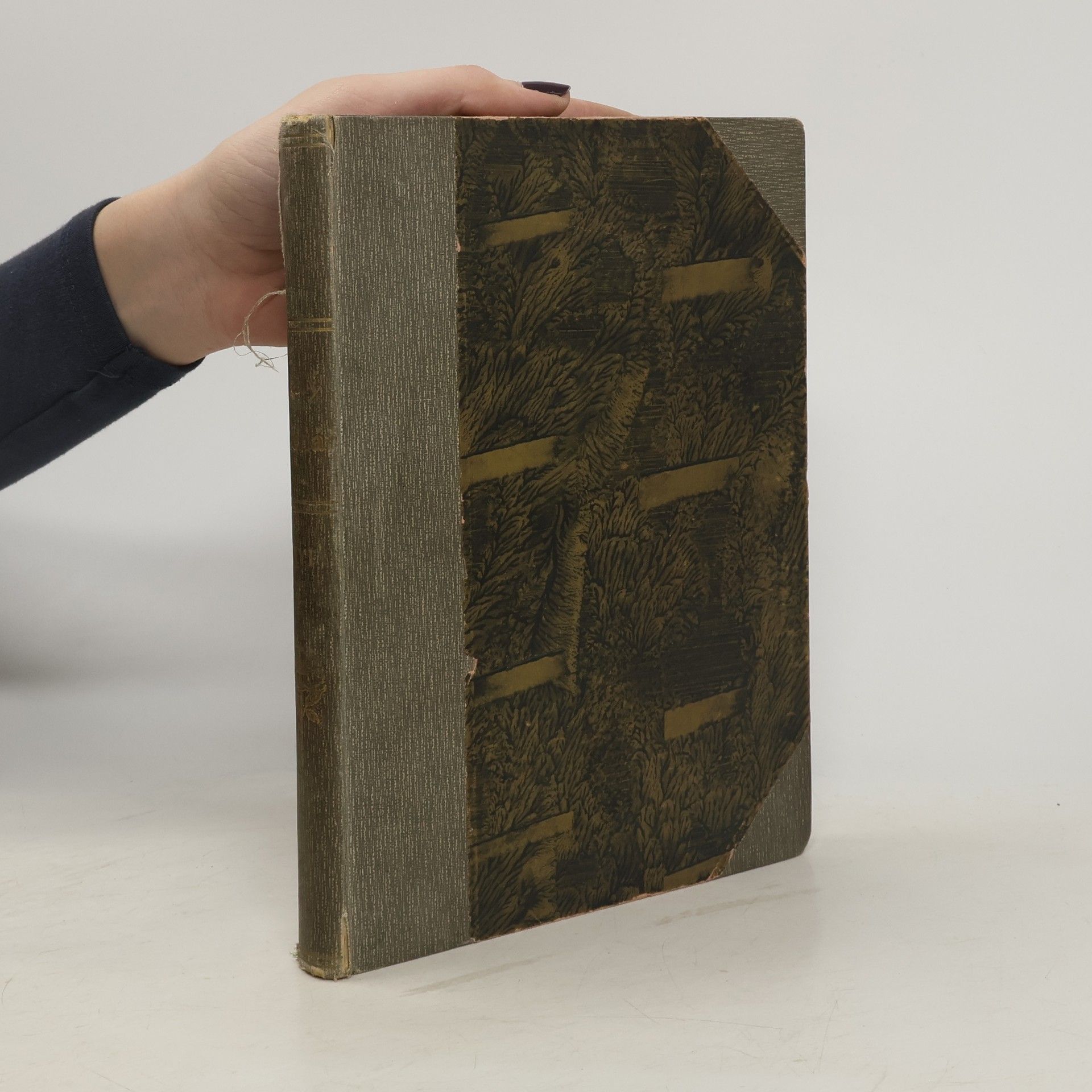 Autorenkollektiv Malý čtenář