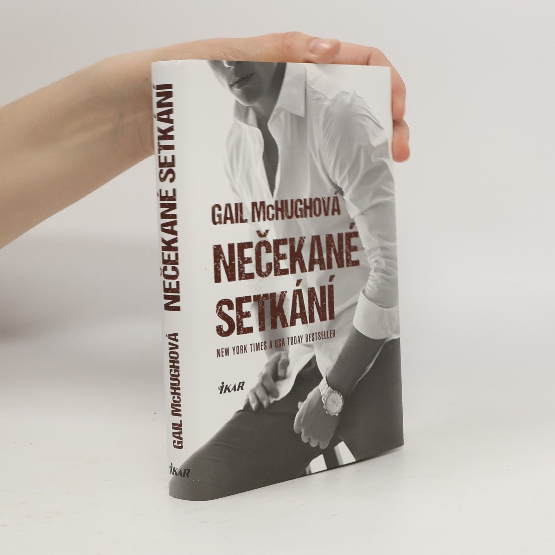 Gail McHugh Nečekané setkání