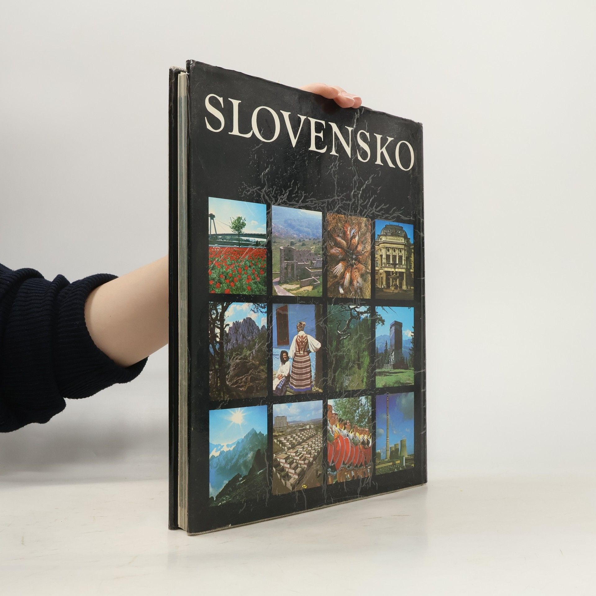 Autorenkollektiv Slovensko