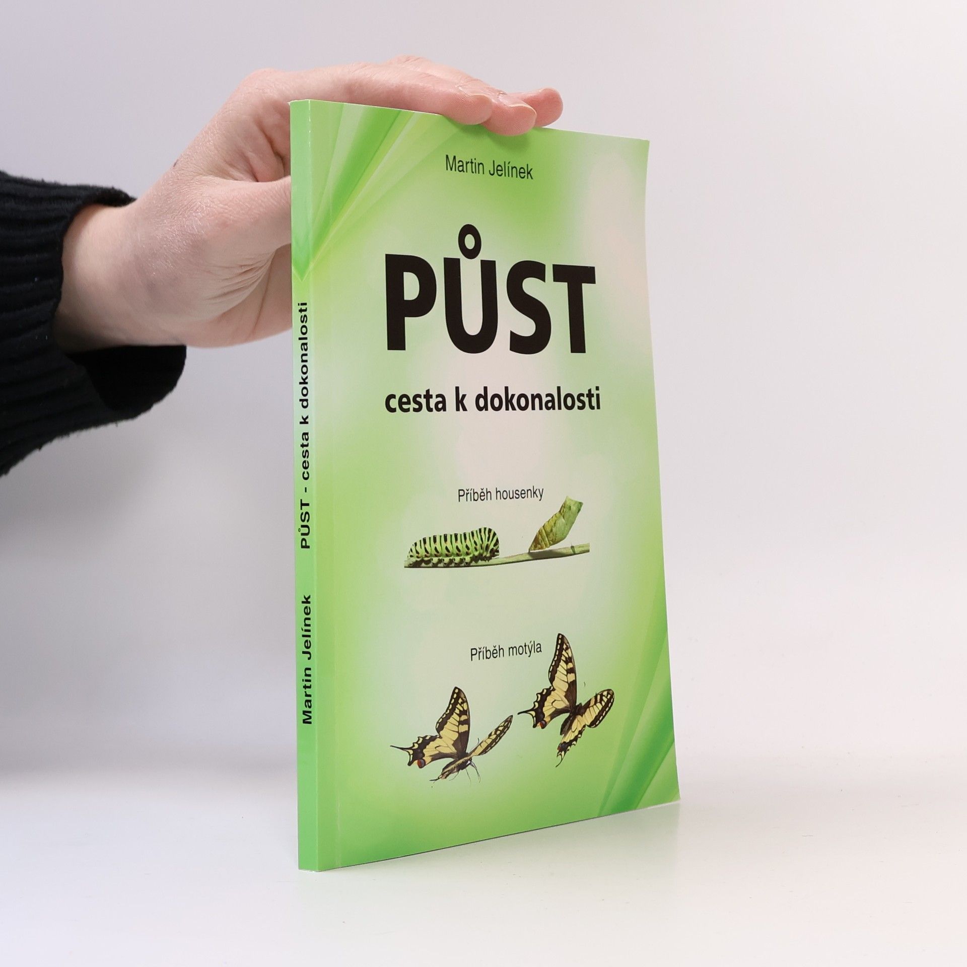 Jelínek Martin Půst - cesta k dokonalosti