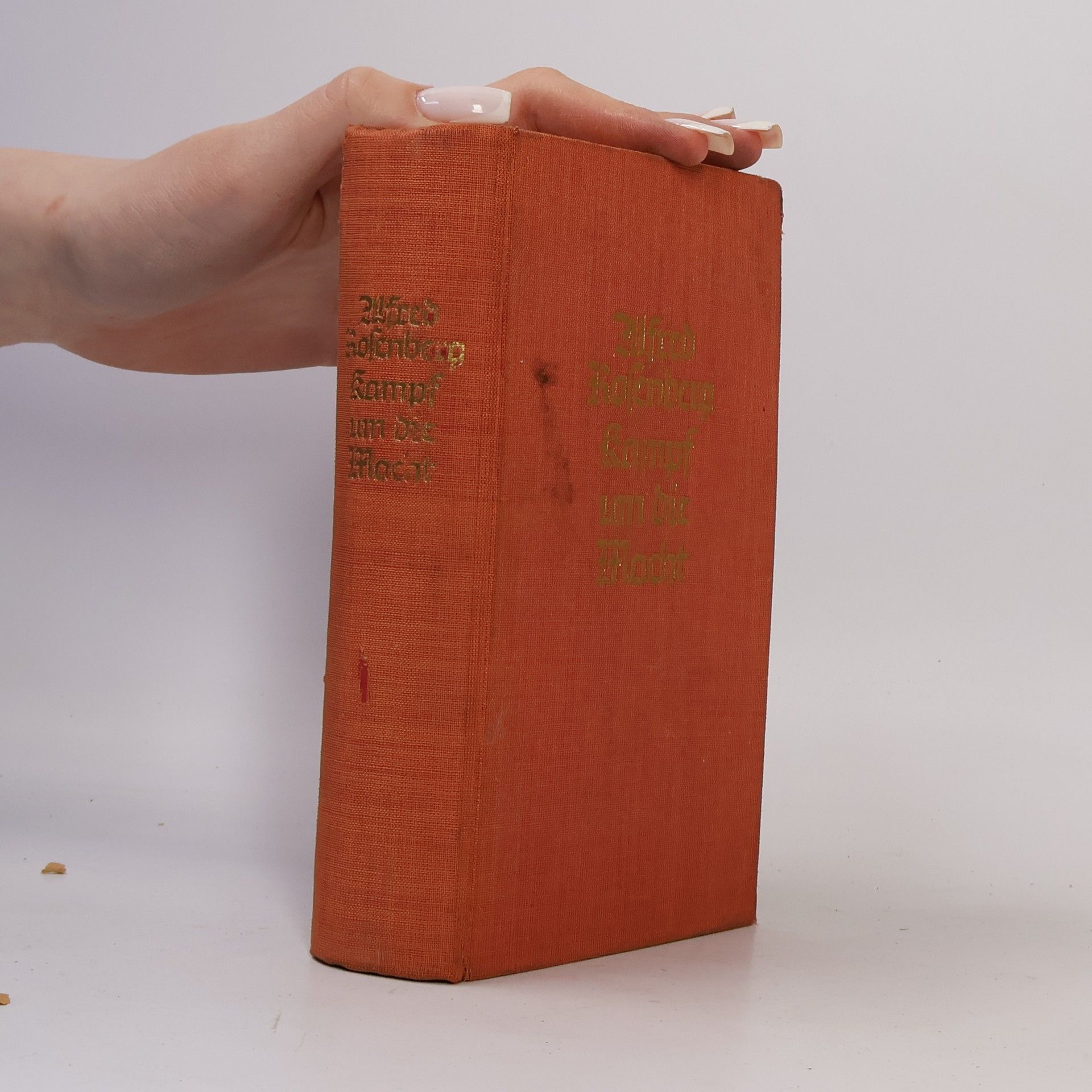 Alfred Rosenberg Kampf um die Macht