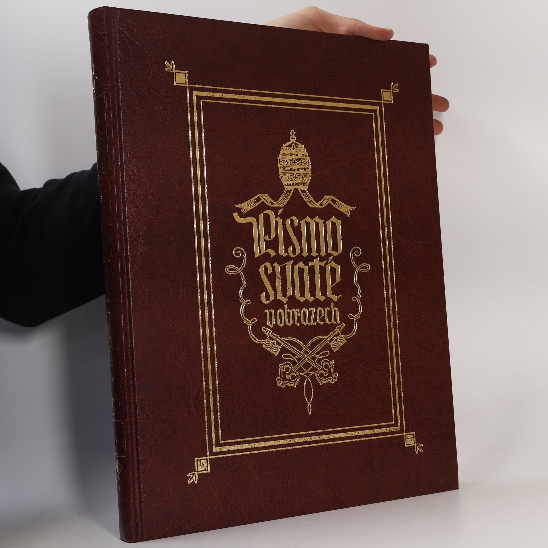 Emanuel Žák Písmo svaté v obrazech