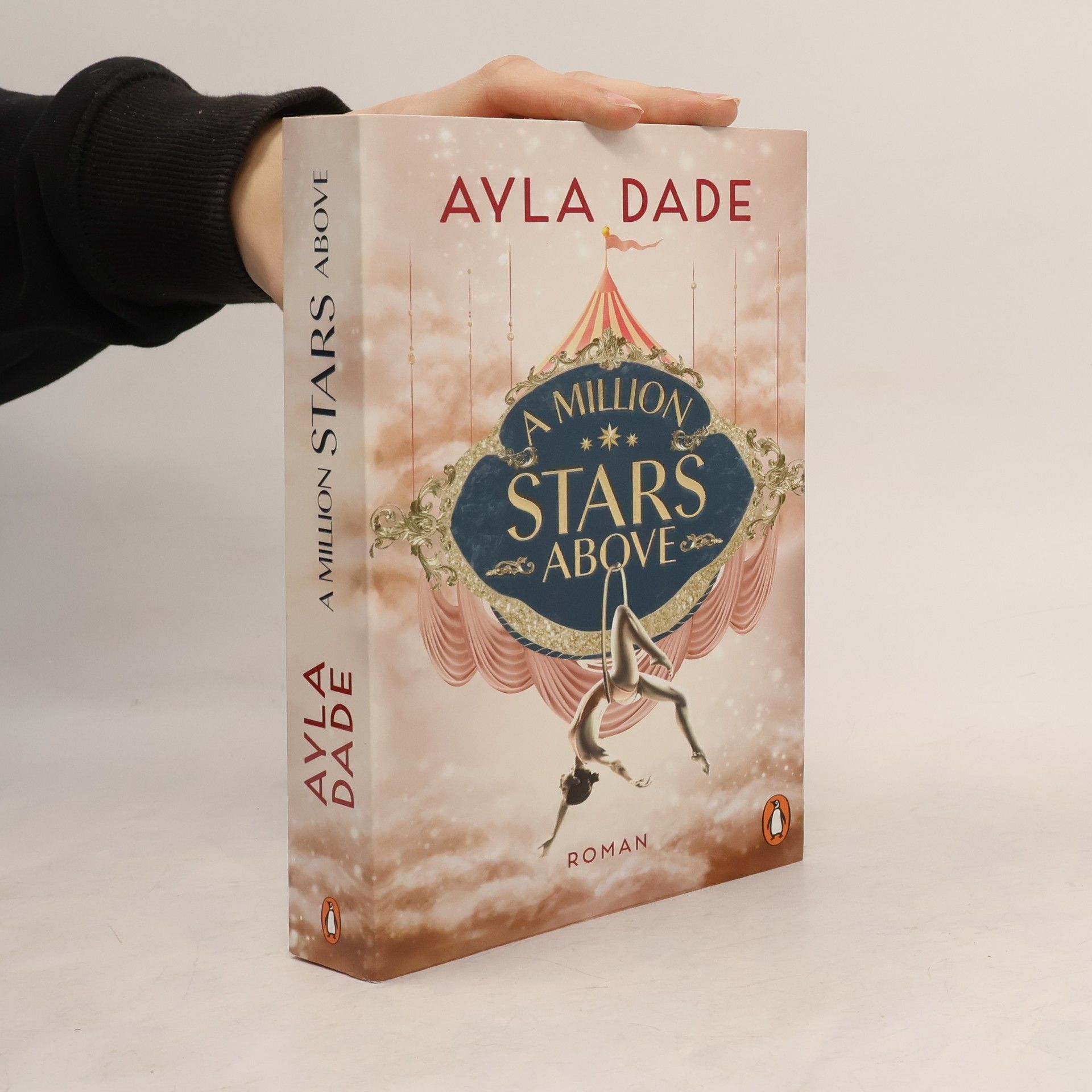 Ayla Dade A Million Stars Above / Sky Circus Bd.1