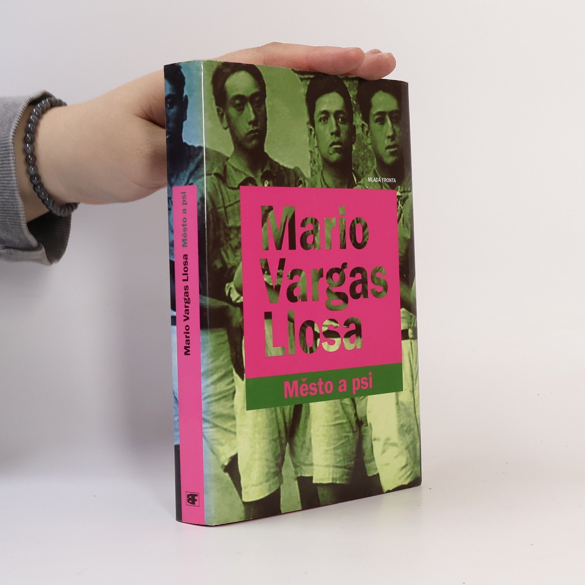 Mario Vargas Llosa Město a psi