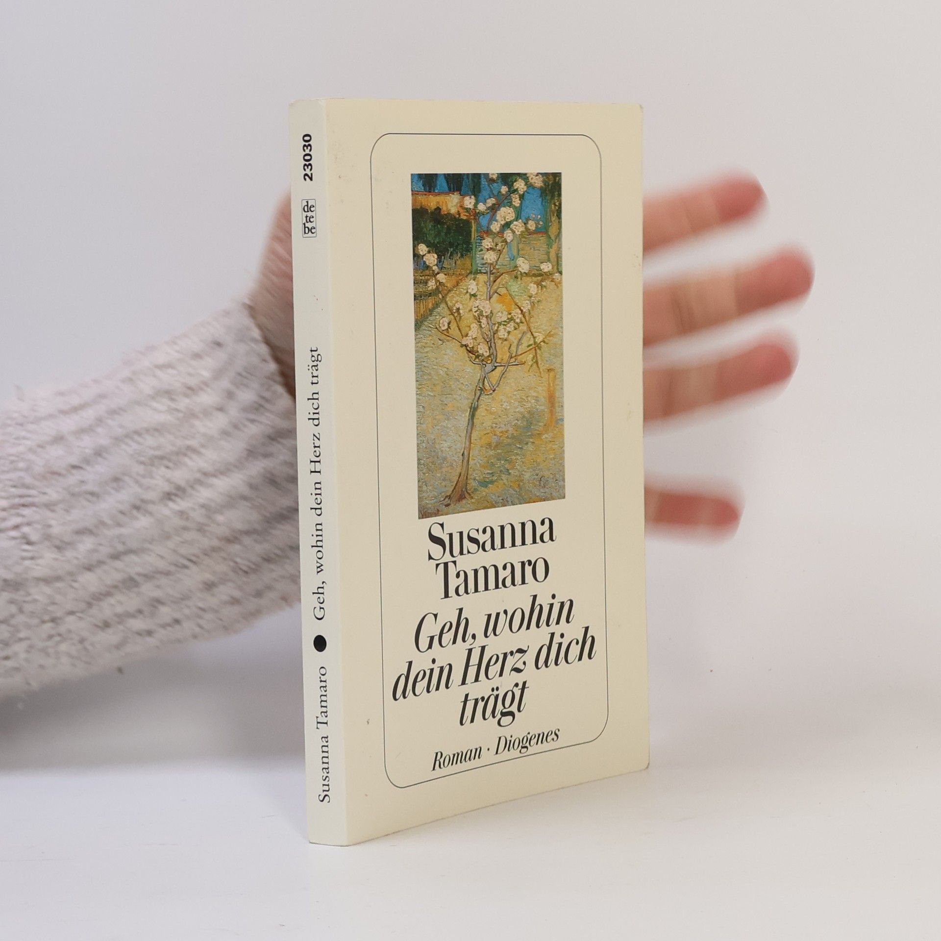 Susanna Tamaro Geh, wohin dein Herz dich trägt