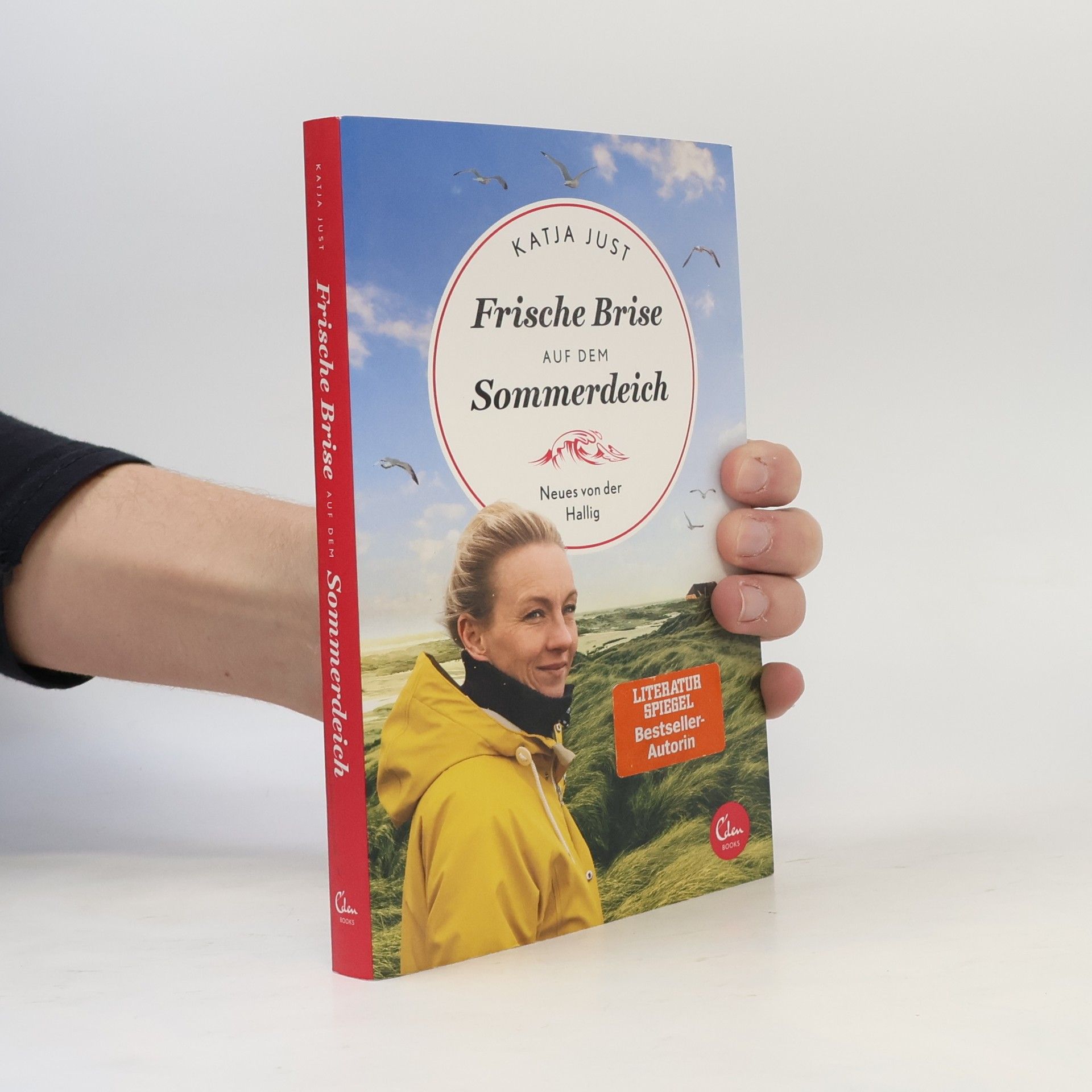 Katja Just Frische Brise auf dem Sommerdeich