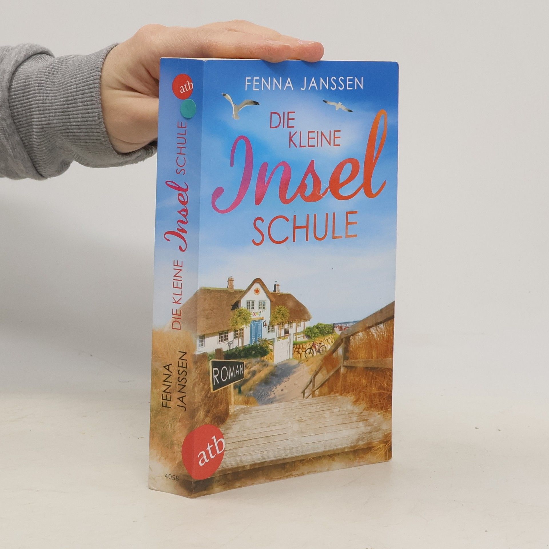 Fenna Janssen Die kleine Inselschule