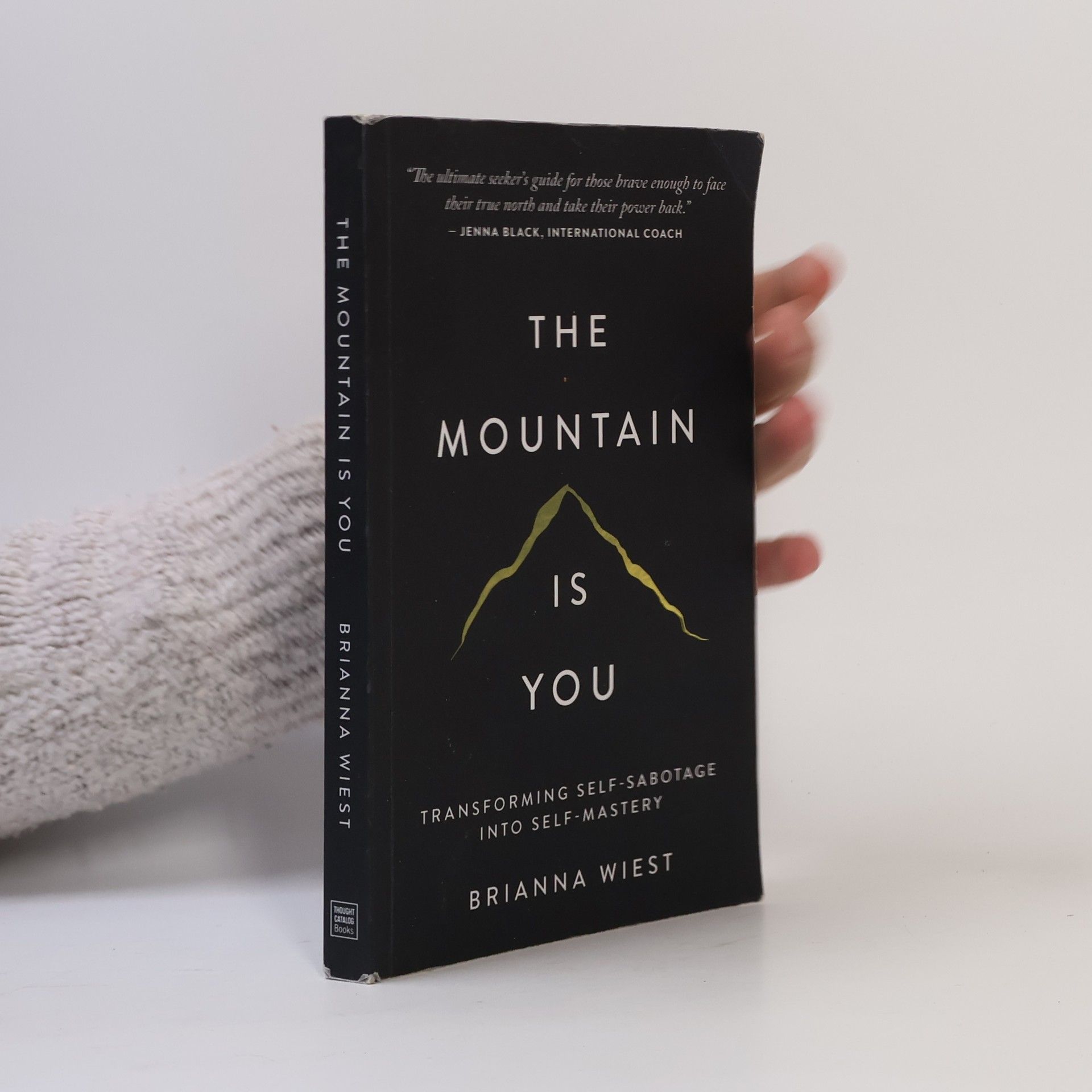 Brianna Wiest The Mountain Is You