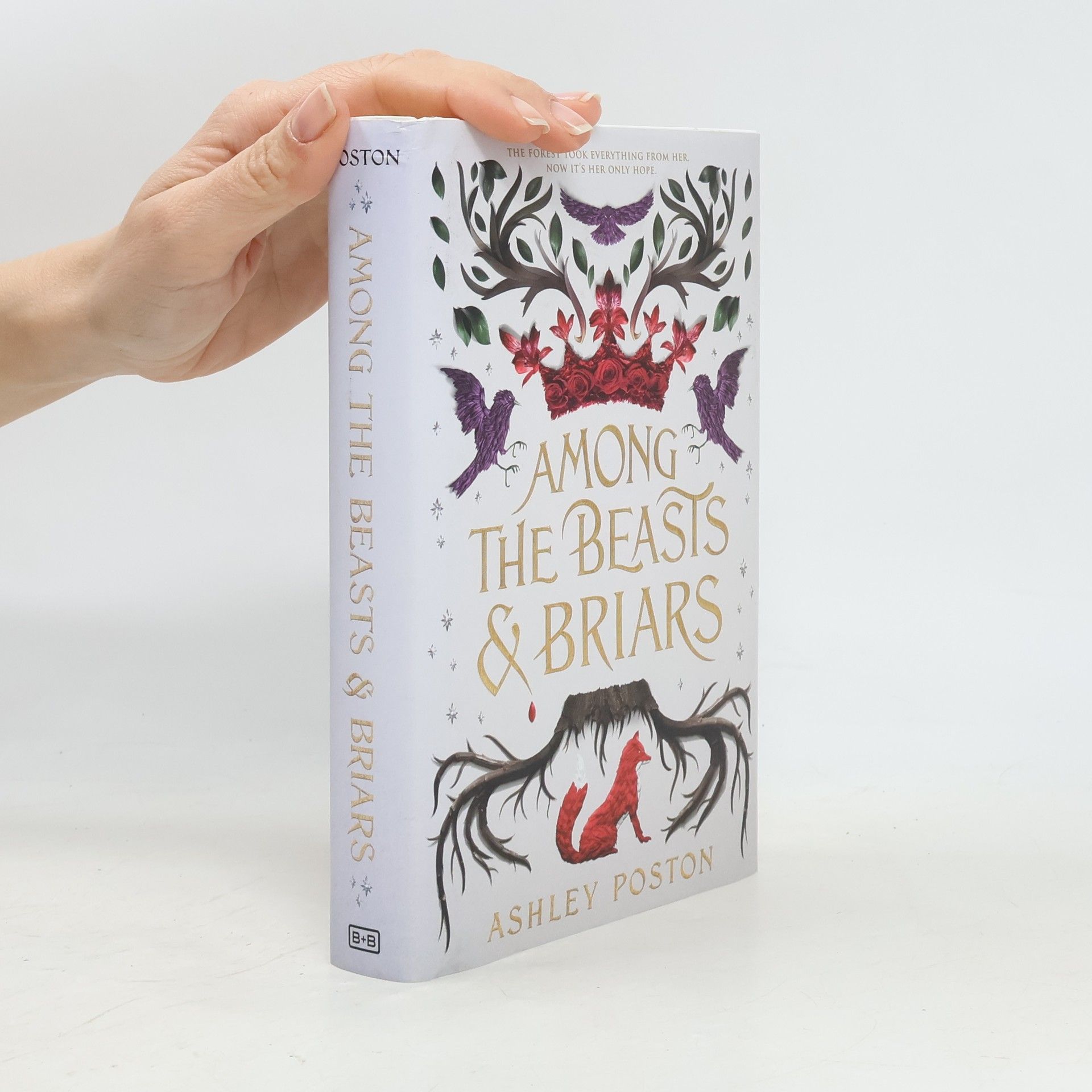 Ashley Poston Among the beasts and briars