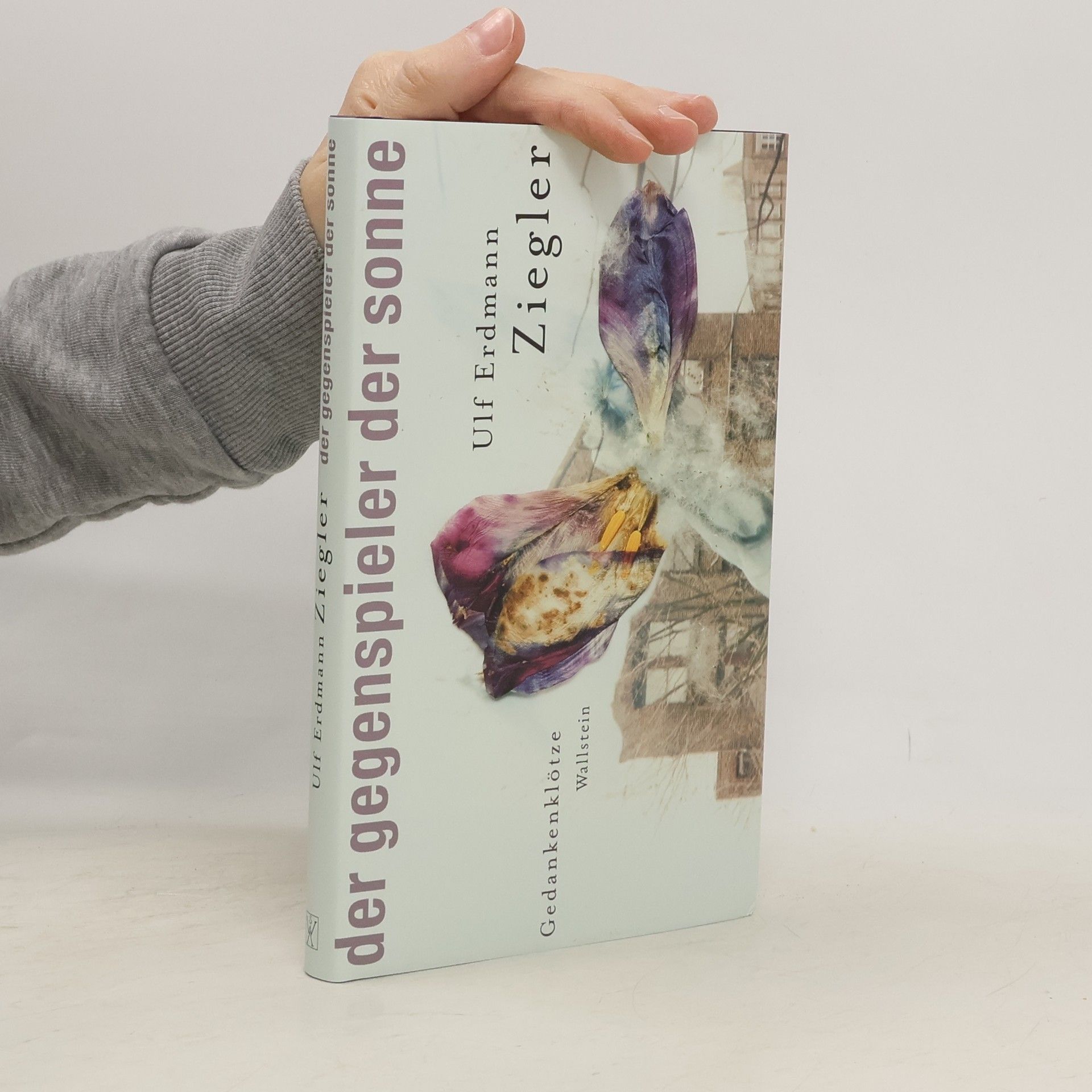 Ulf Erdmann Ziegler Der Gegenspieler der Sonne