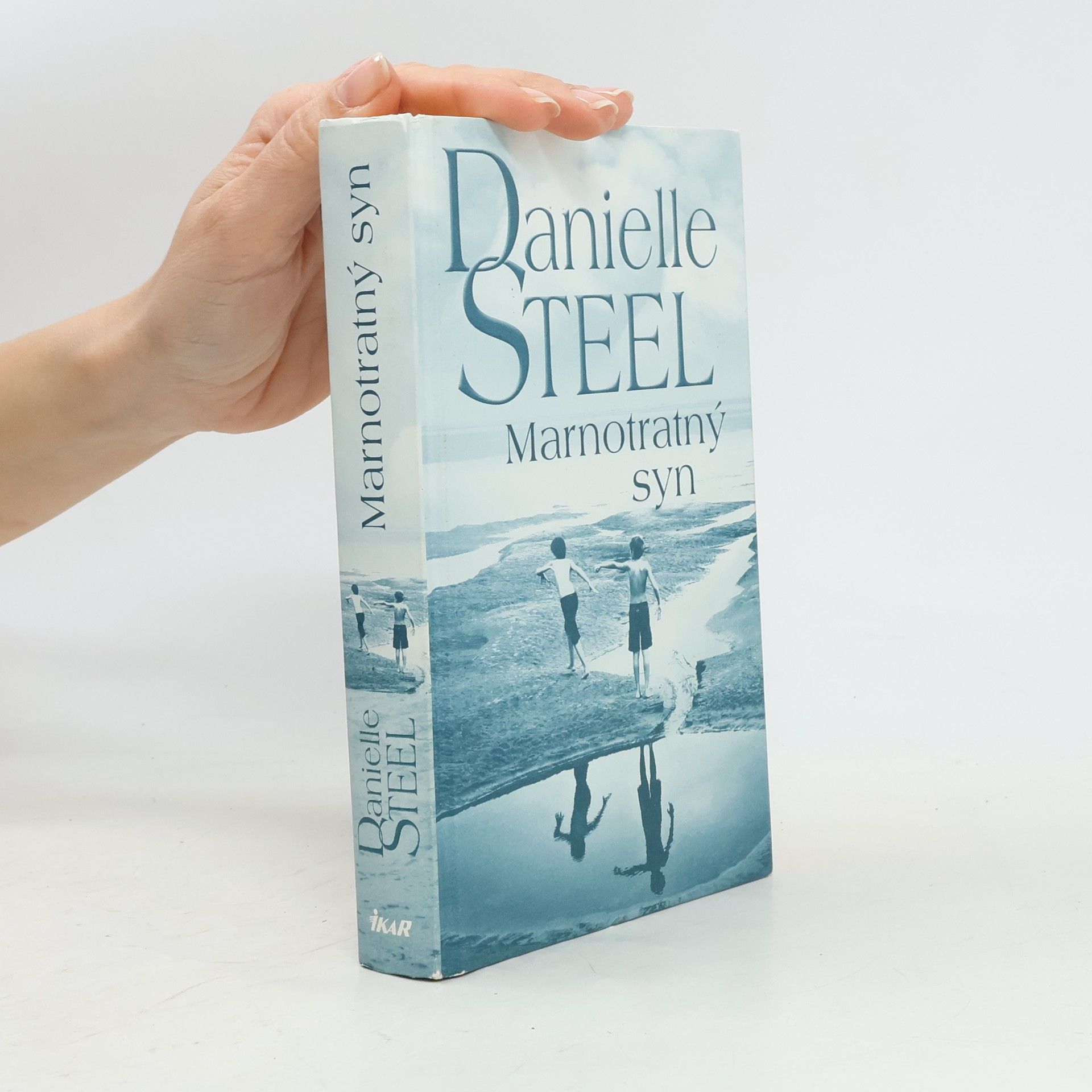 Danielle Steel Marnotratný syn
