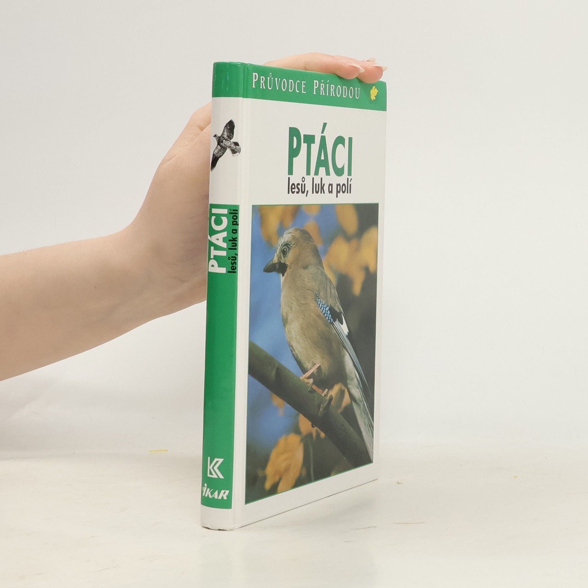 Sauer Frieder Ptáci lesů, luk a polí