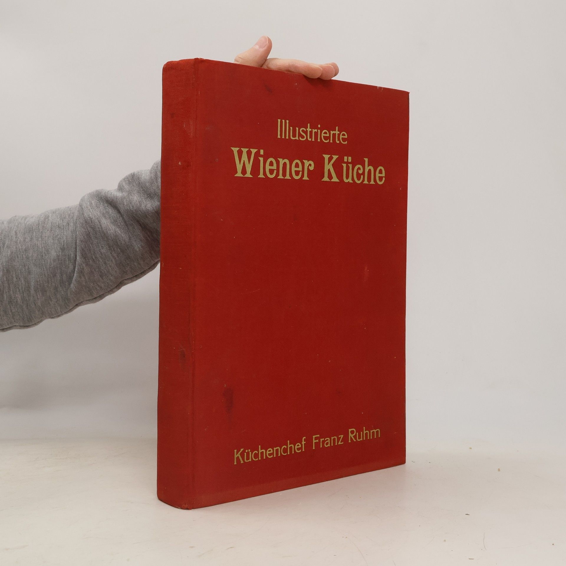 Illustrierte Wiener Küche