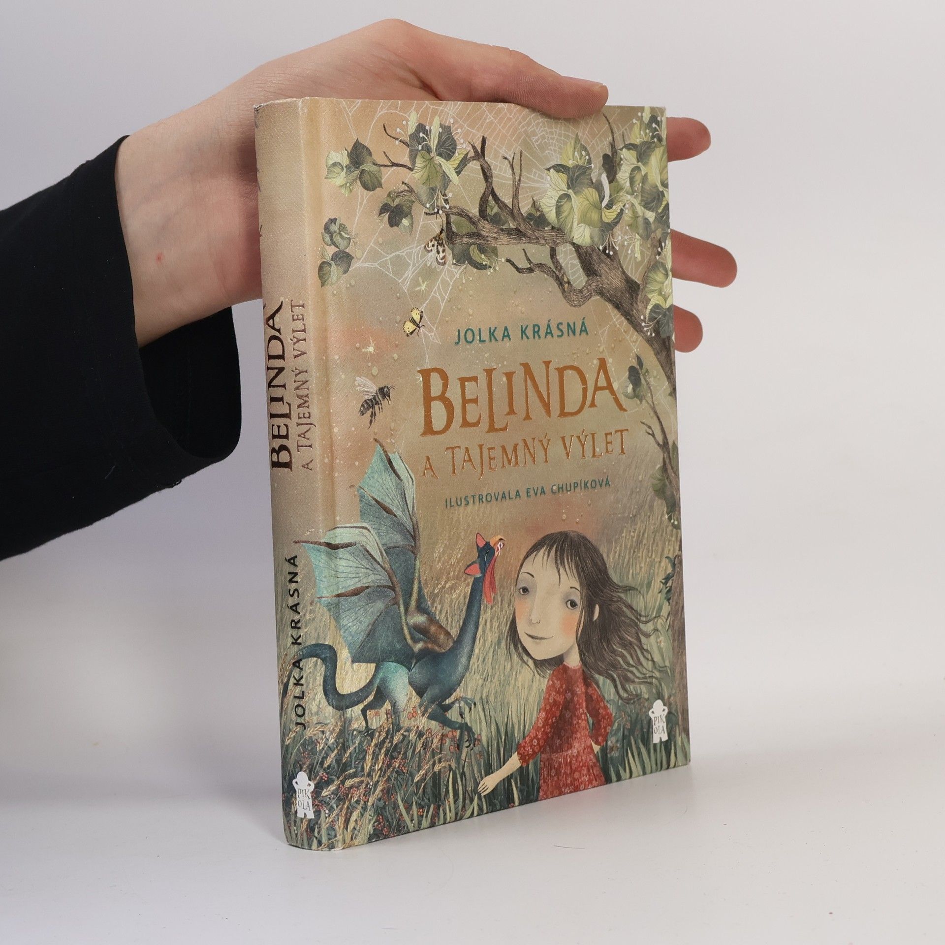 Belinda a tajemný výlet