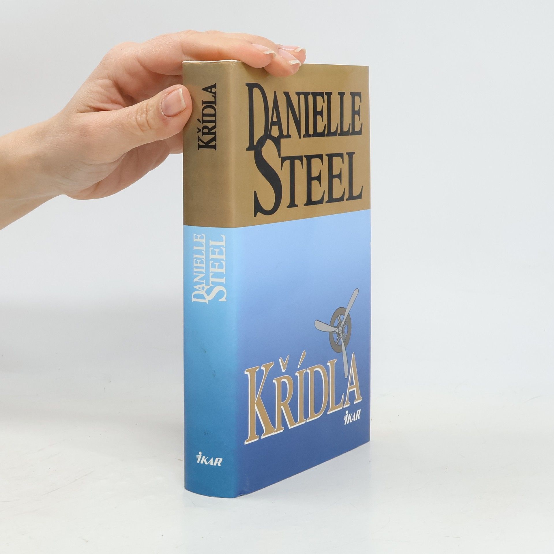 Danielle Steelová Křídla