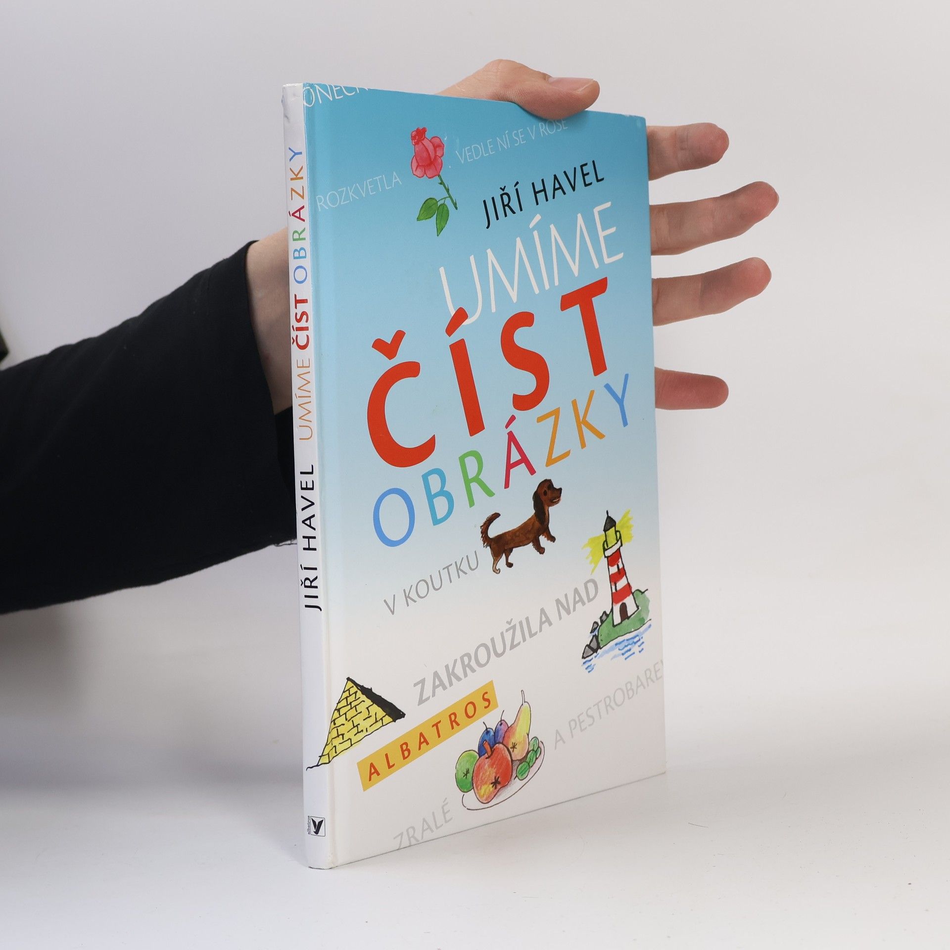 Jiří Havel Umíme číst obrázky