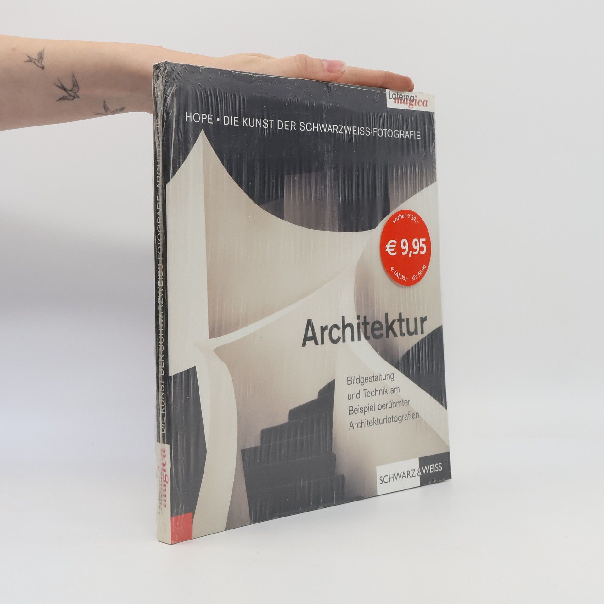 Terry Hope Architektur. Bildgestaltung und Technik am Beispiel berühmter Architekturfotografen