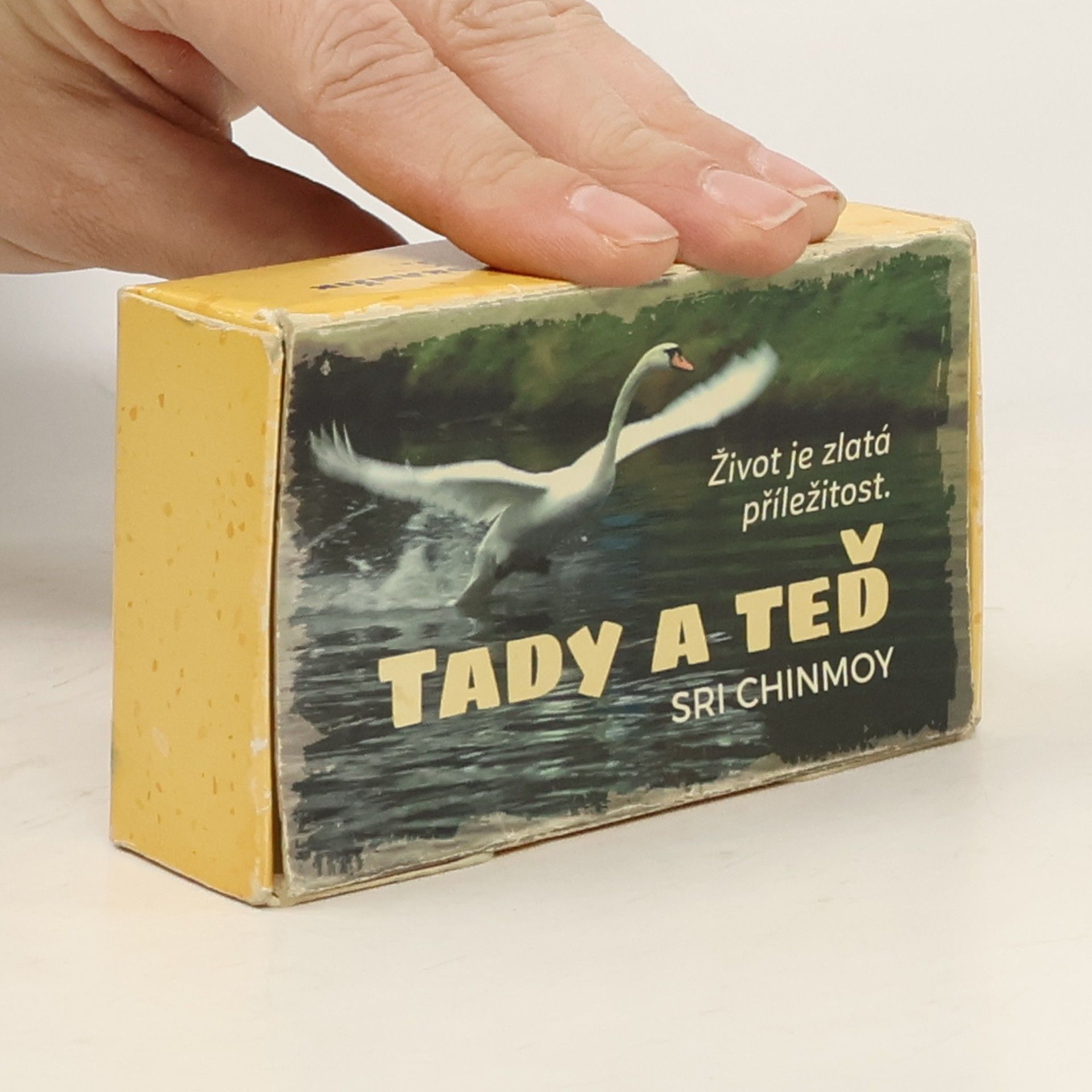 Sri Chinmoy Tady a teď