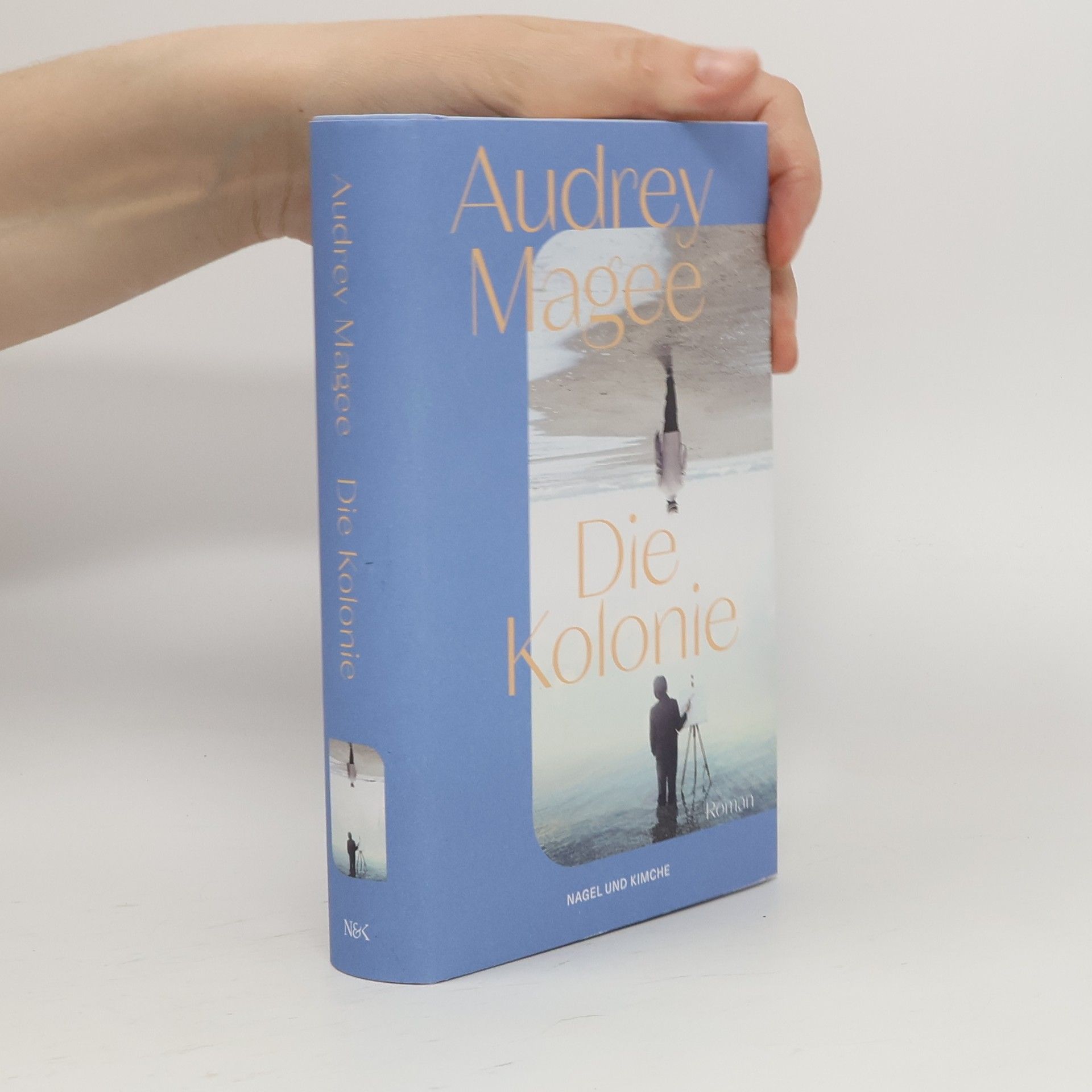 Audrey Magee Die Kolonie