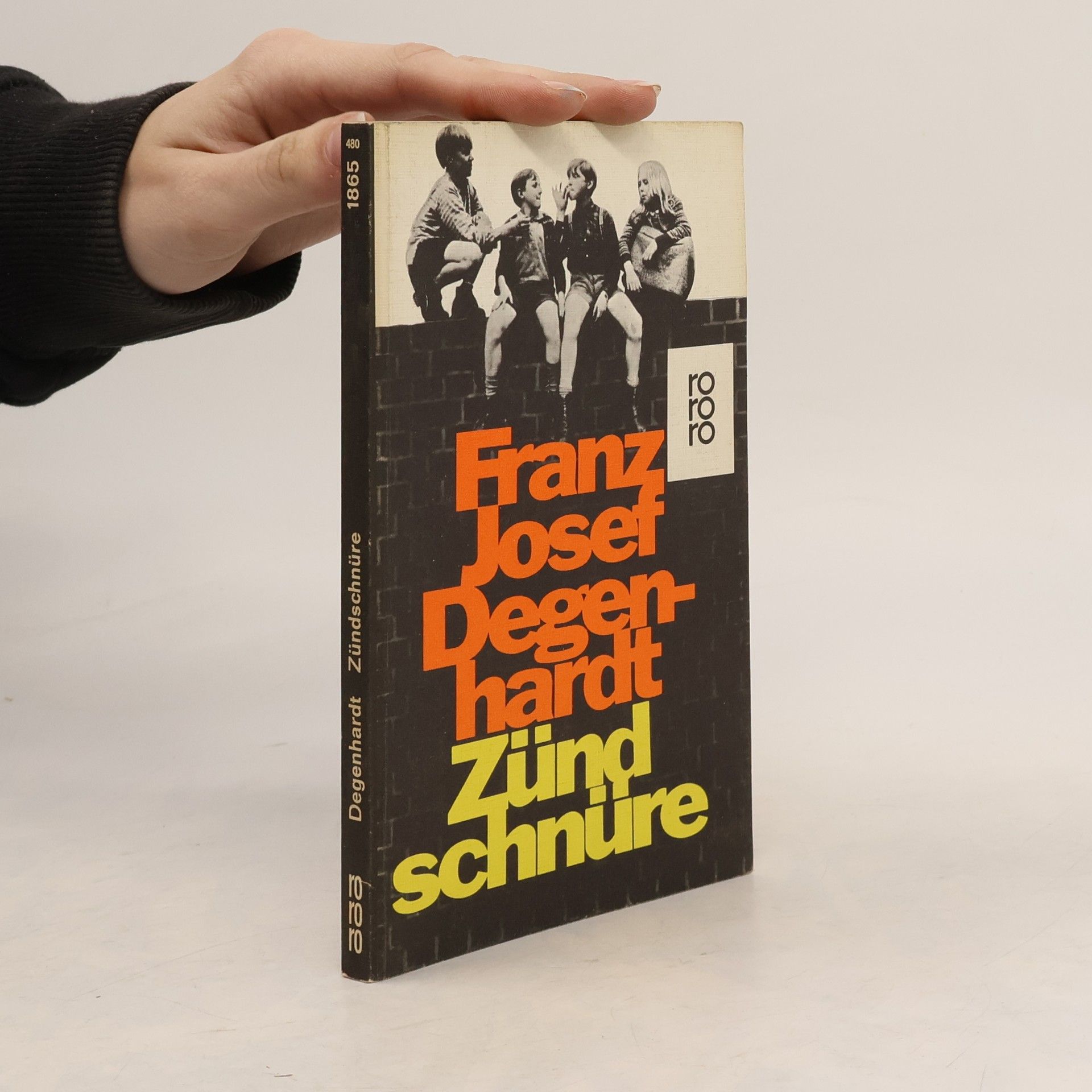 Franz Josef Degenhardt Zündschnüre