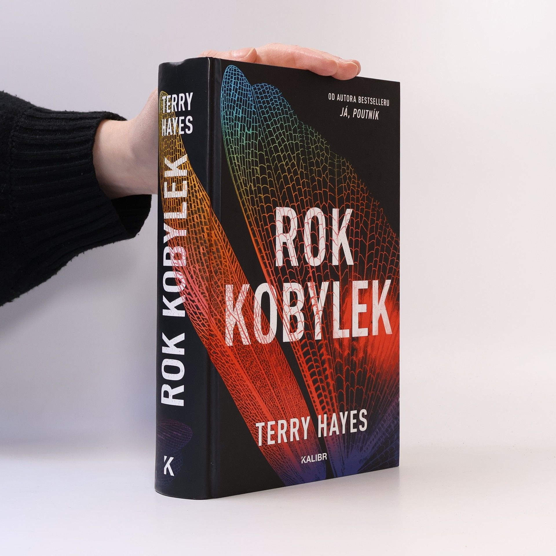 Terry Hayes Rok kobylek