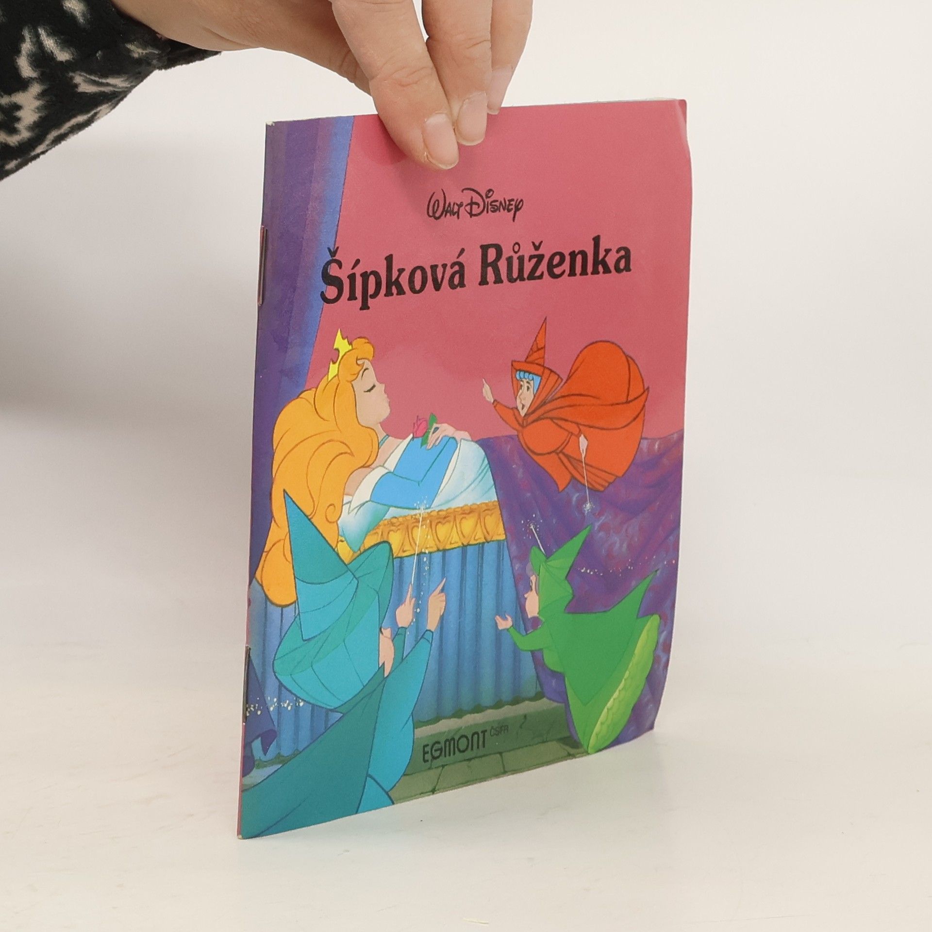 Walt Disney Šípková Růženka