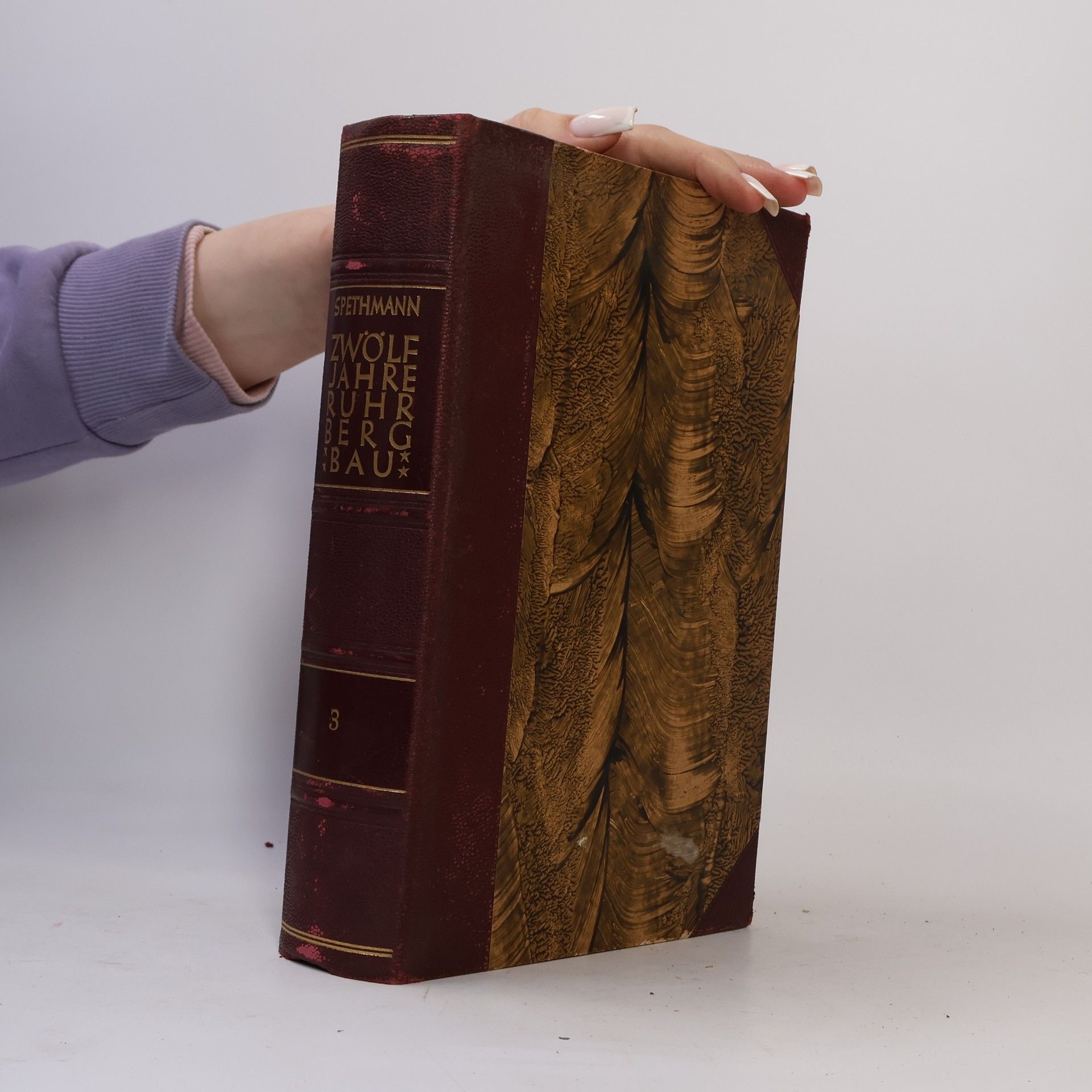 Hans Spethmann Zwölf Jahre Ruhrbergbau 3