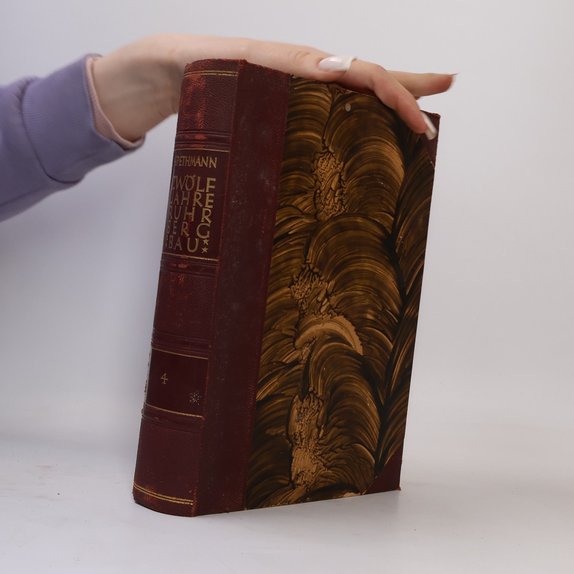 Hans Spethmann Zwölf Jahre Ruhrbergbau IV.