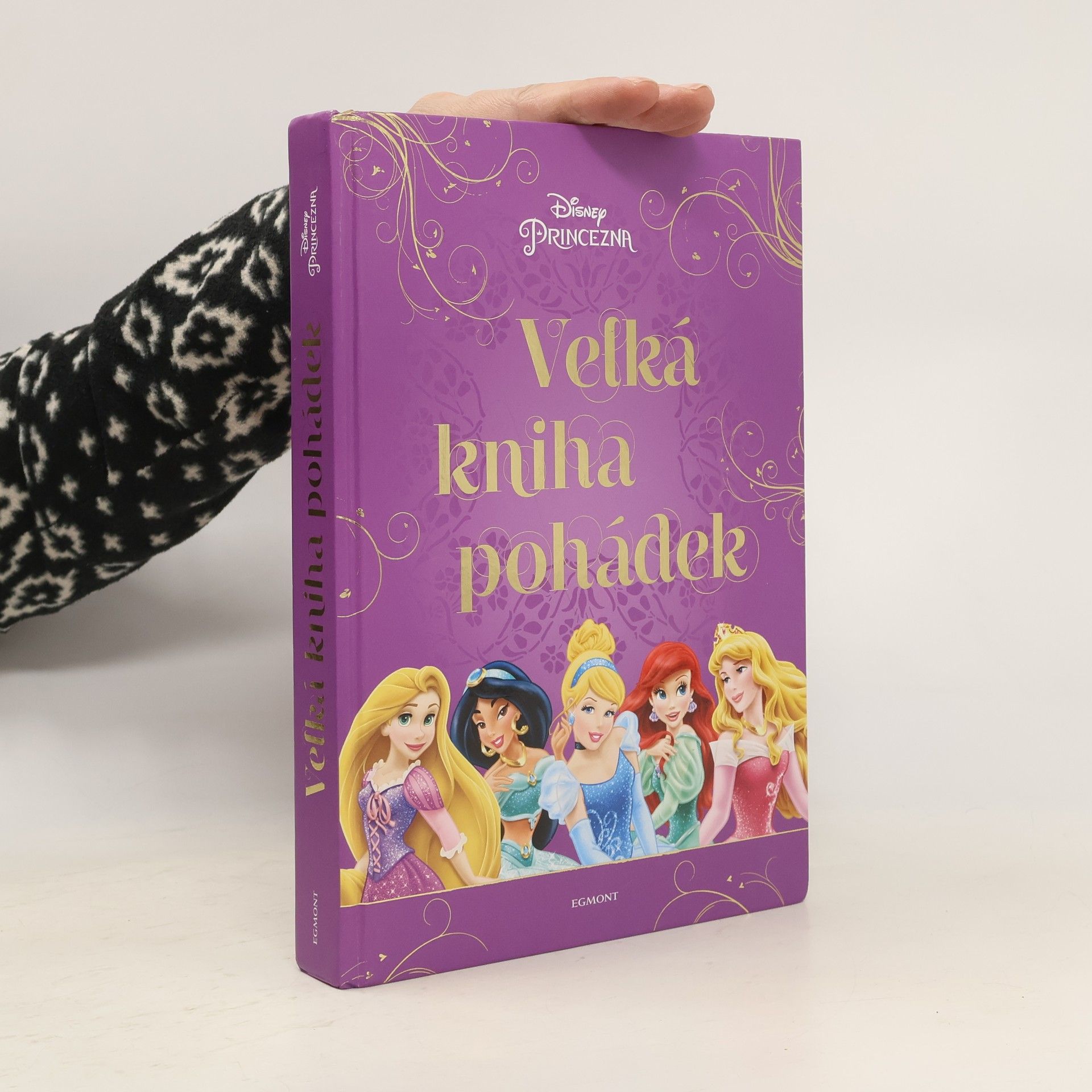 Kolektiv autorů Velká kniha pohádek - princezna