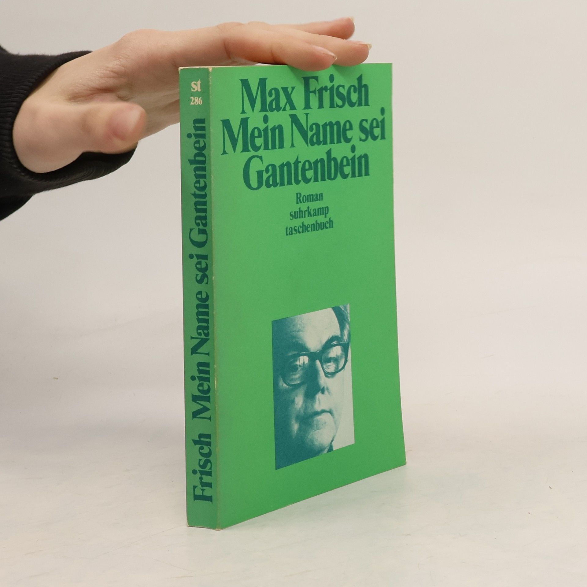 Max Frisch Mein Name sei Gantenbein