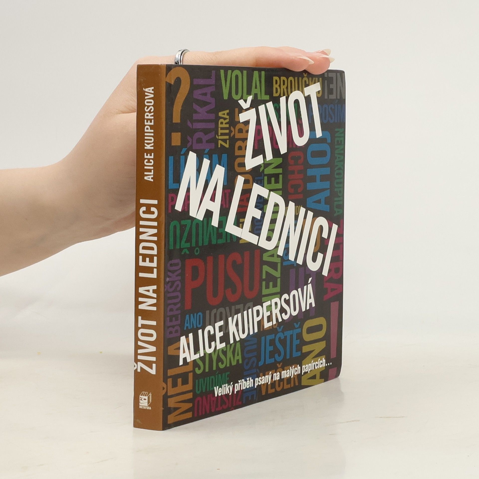 Alice Kuipers Život na lednici: Veliký příběh psaný na malých papírcích...