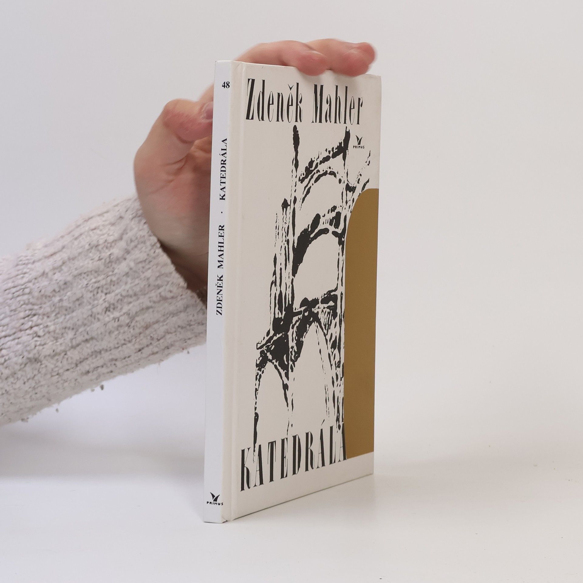 Zdeněk Mahler Katedrála