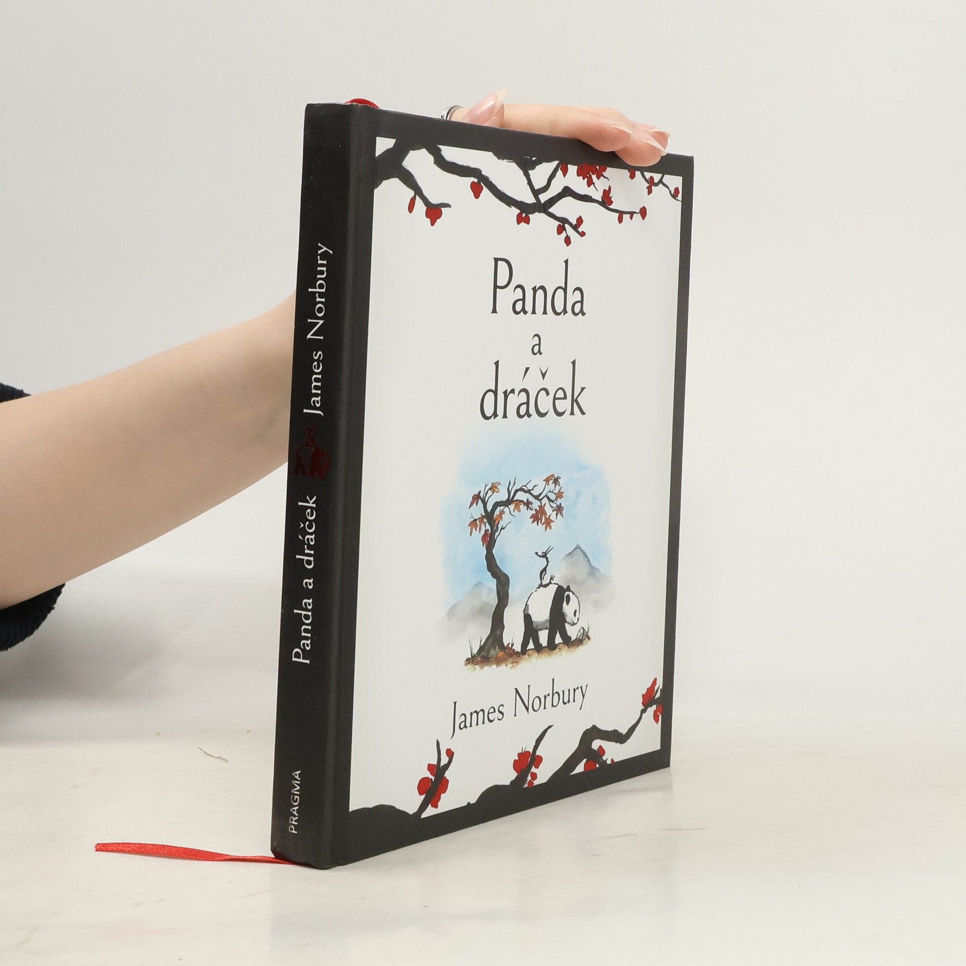 James Norbury Panda a dráček