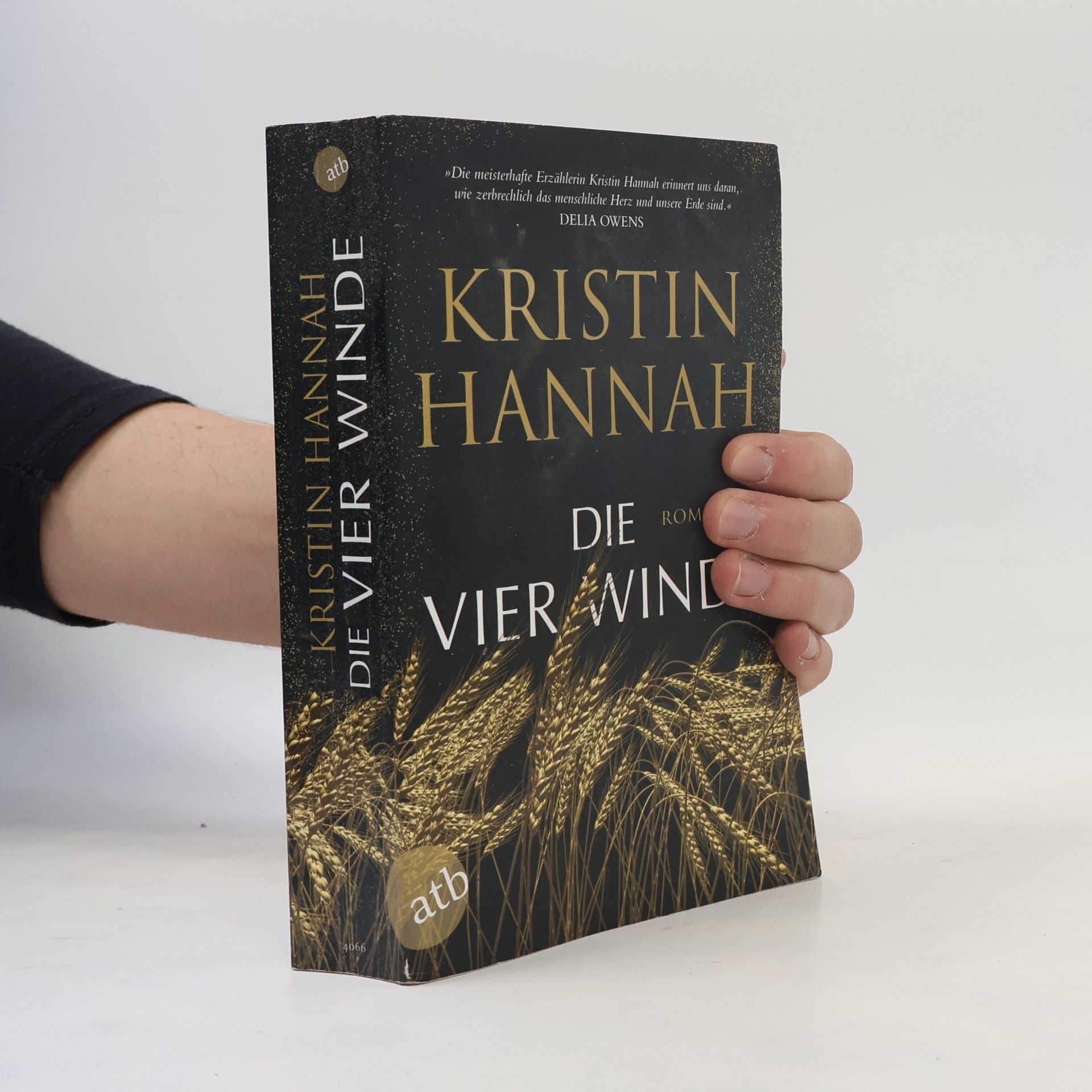 Kristin Hannah Die vier Winde