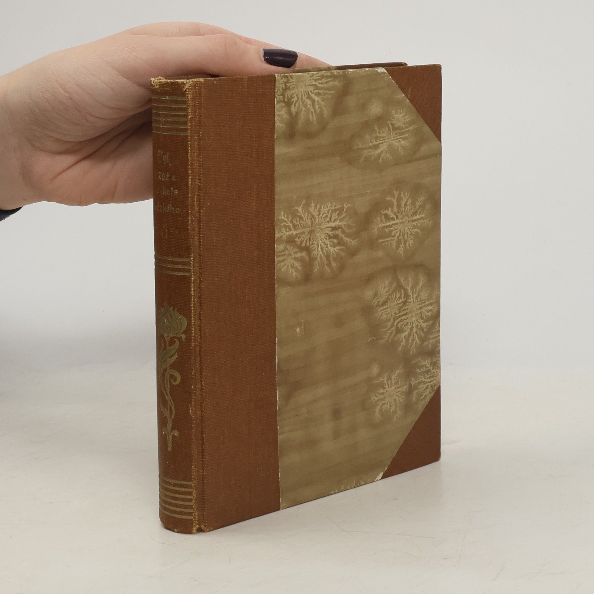 Josef Kajetán Tyl Růže z keře nízkého