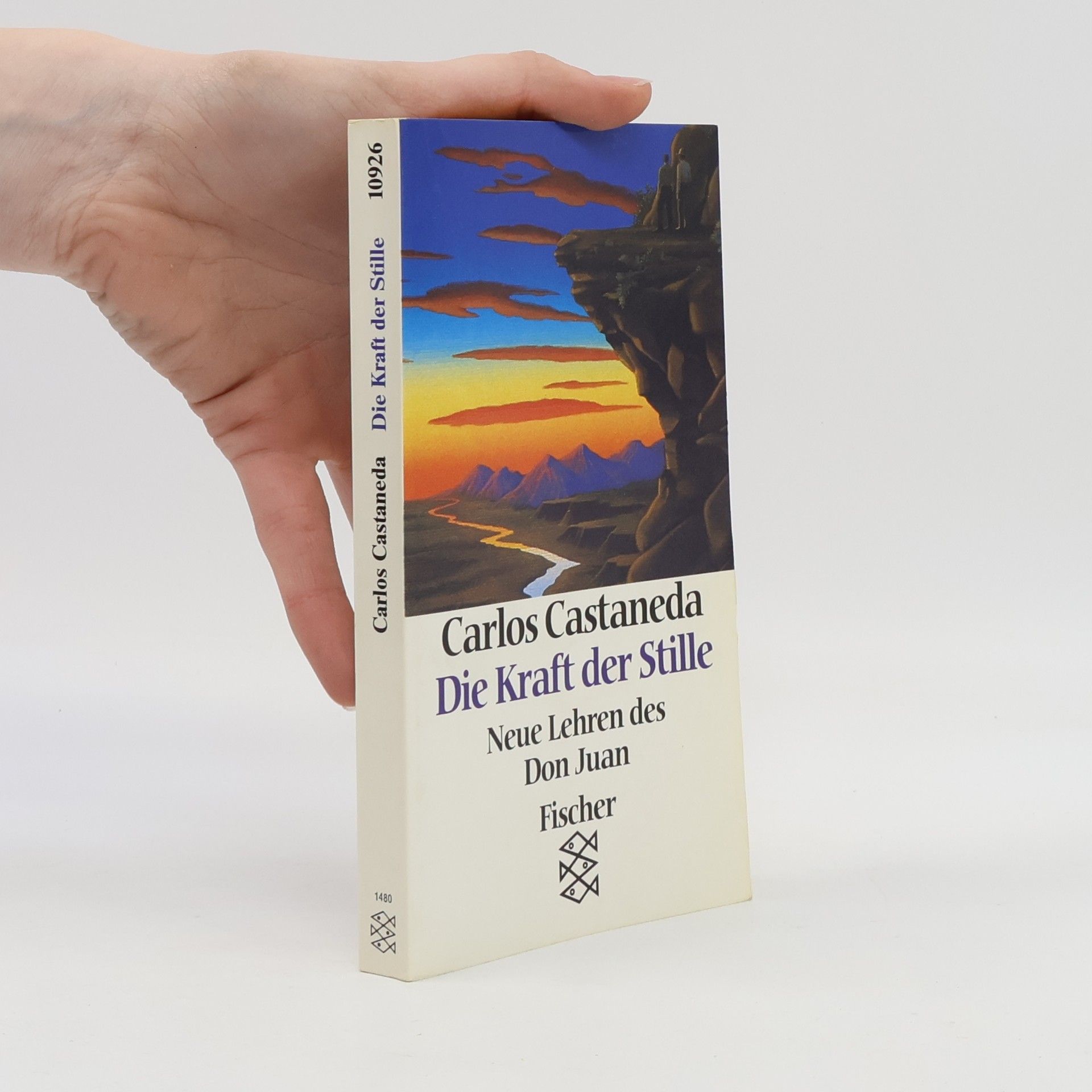 Carlos Castañeda Die Kraft der Stille