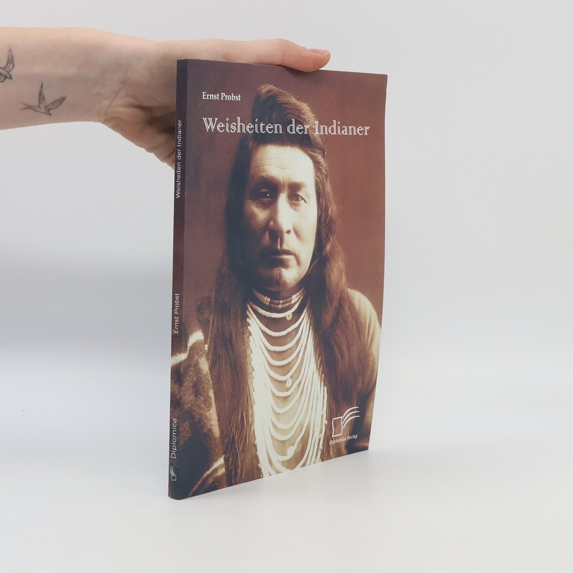 Serge Ernst Weisheiten der Indianer