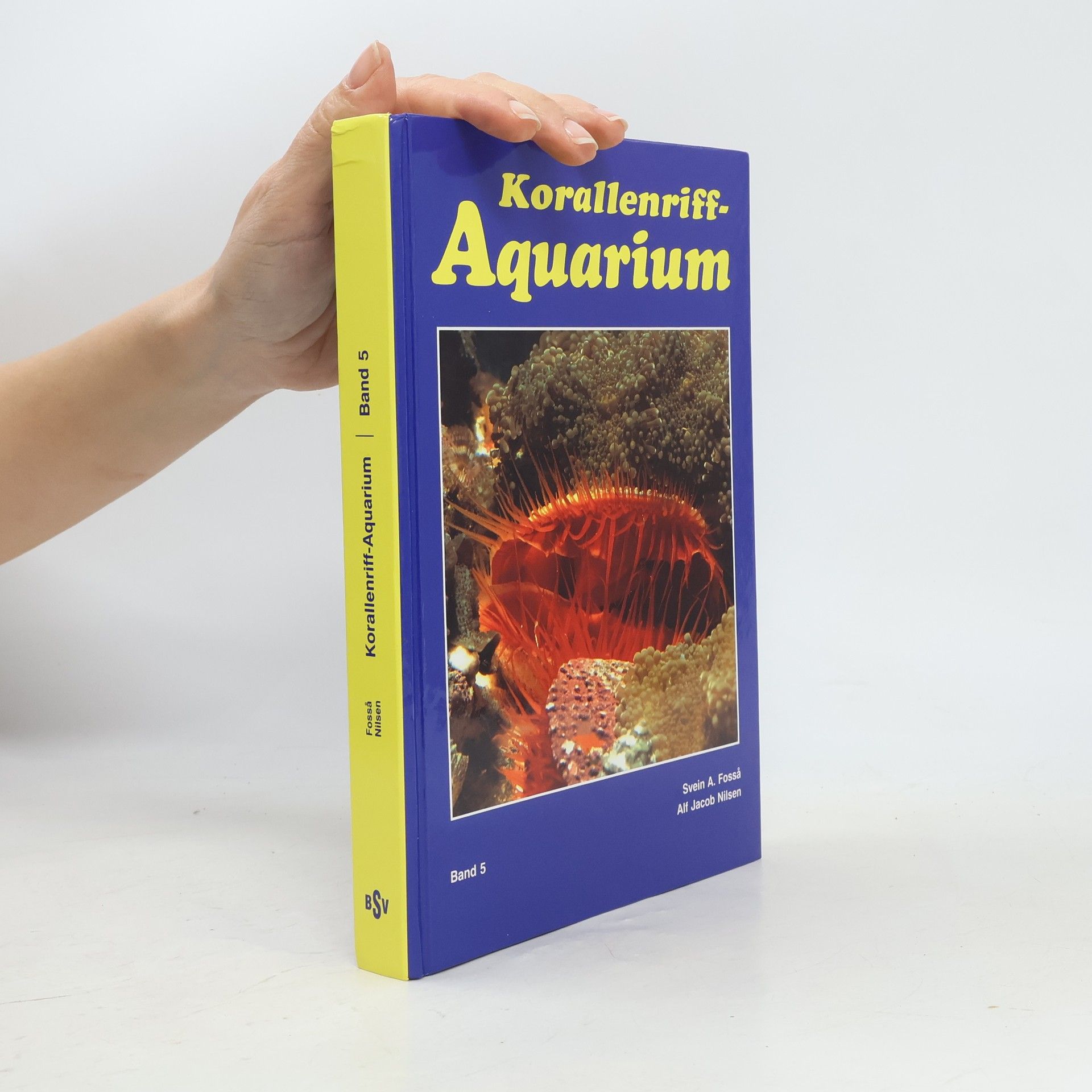 Korallenriff-Aquarium